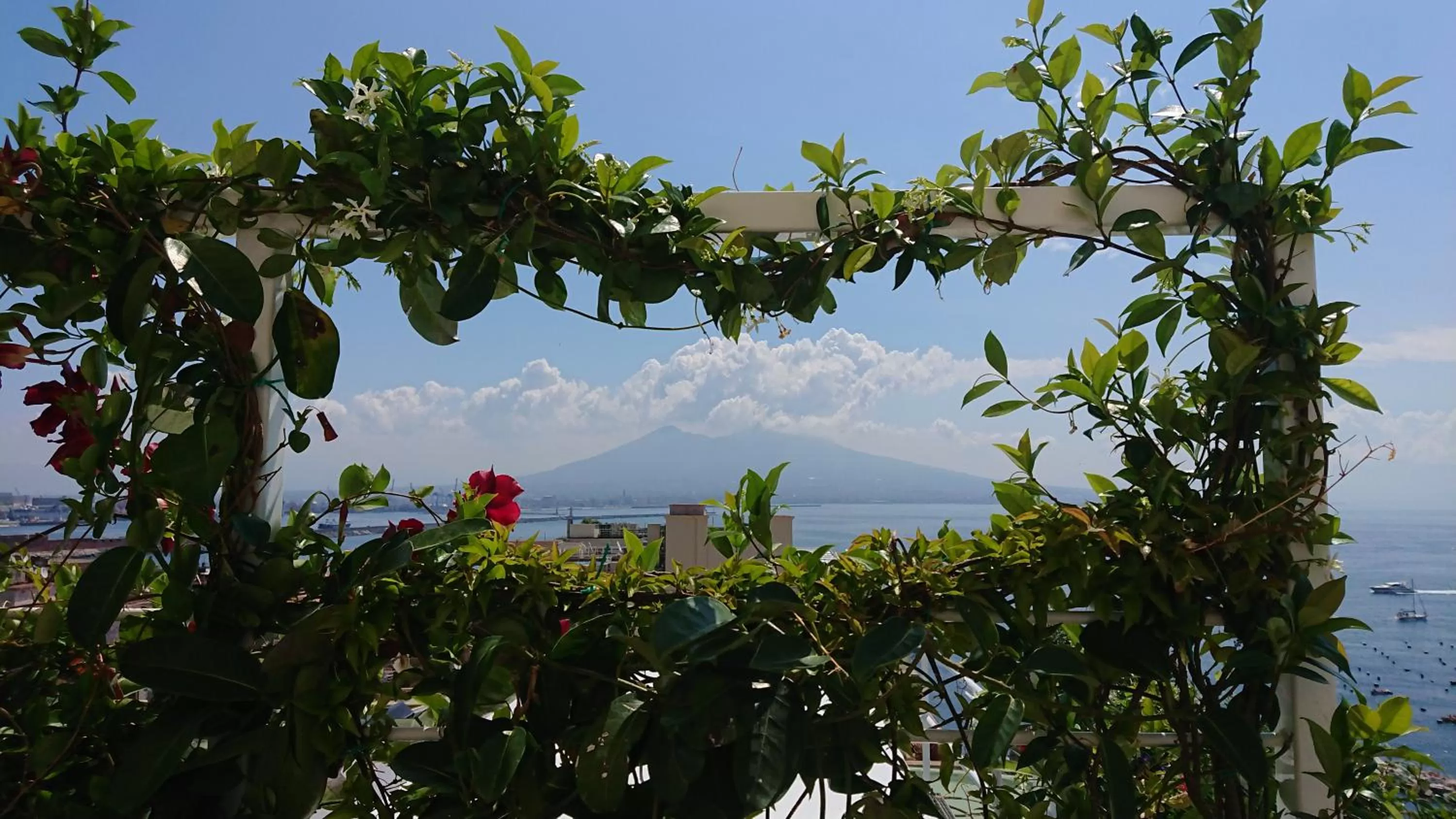 Restaurant/places to eat in Grand Hotel Vesuvio