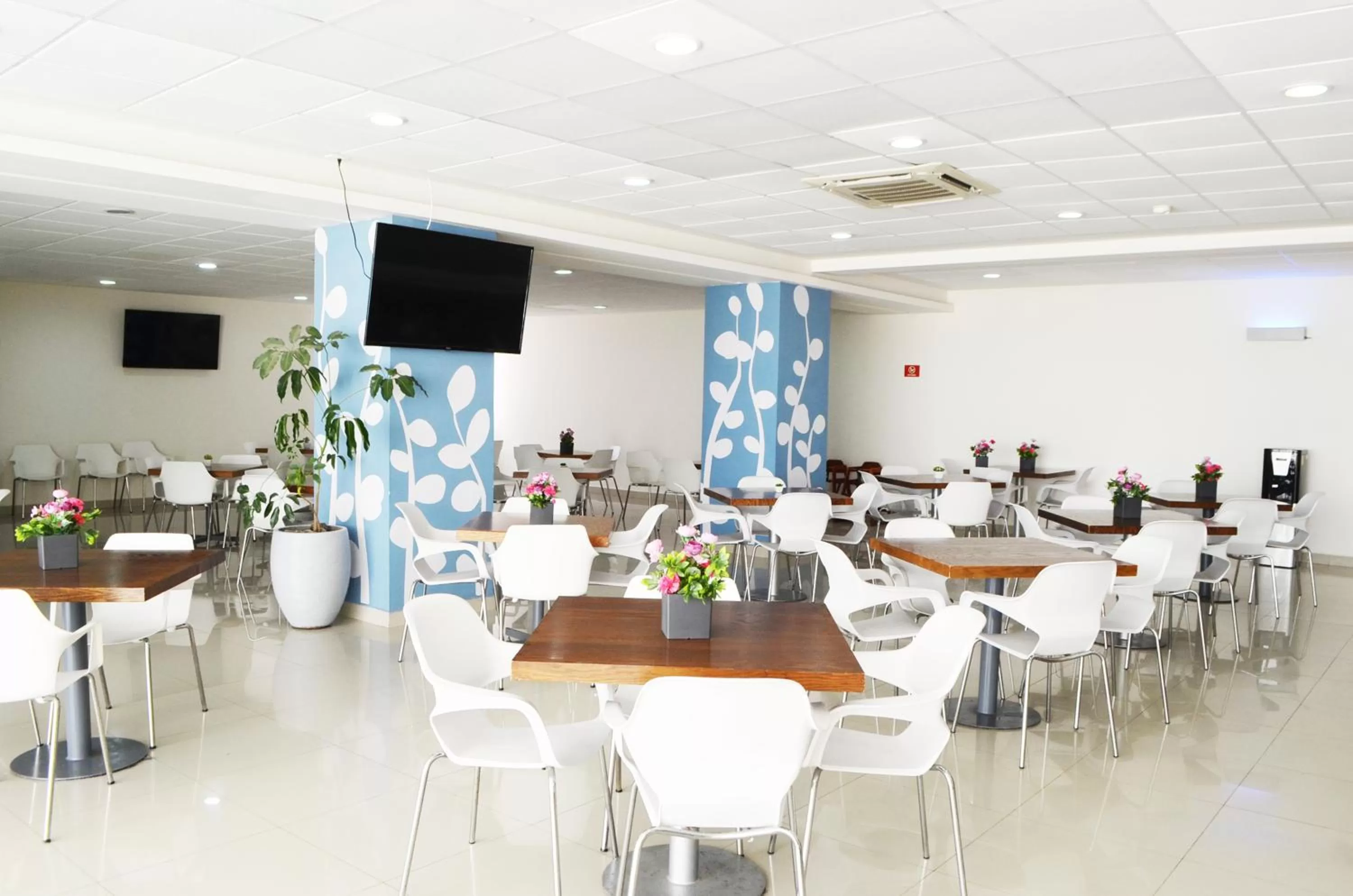 Restaurant/places to eat in Sleep Inn Mazatlan