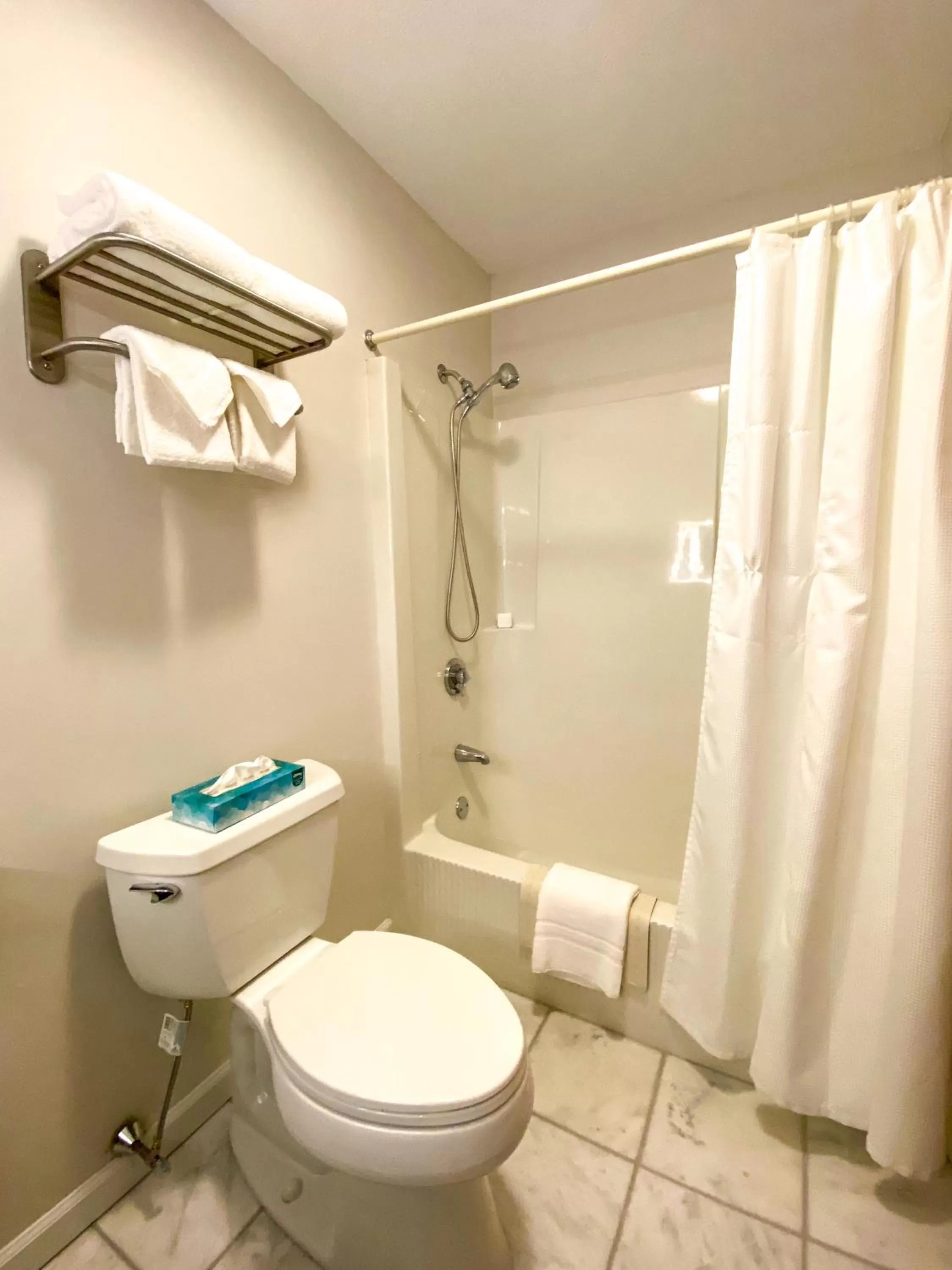 The Central Downtown Inn Suites