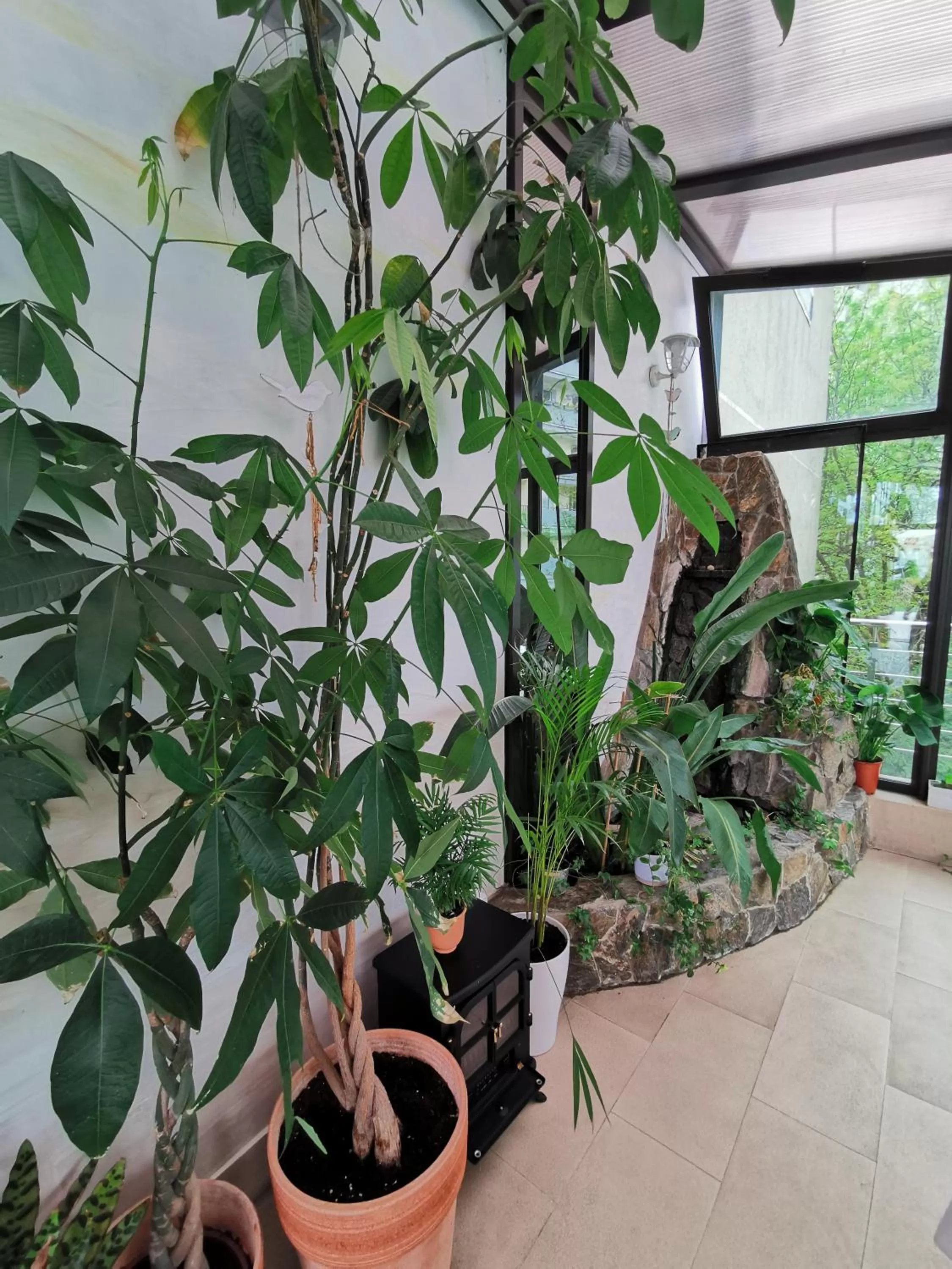 Restaurant/places to eat in Hotel Forum Fitness Spa & Wellness