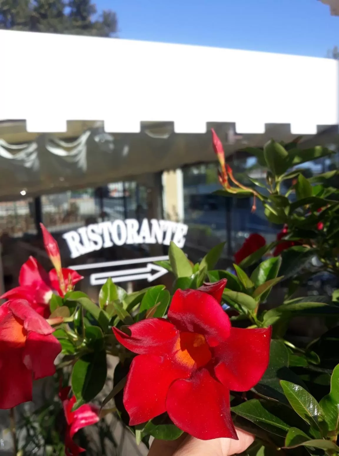 Property building in Ena Hotel