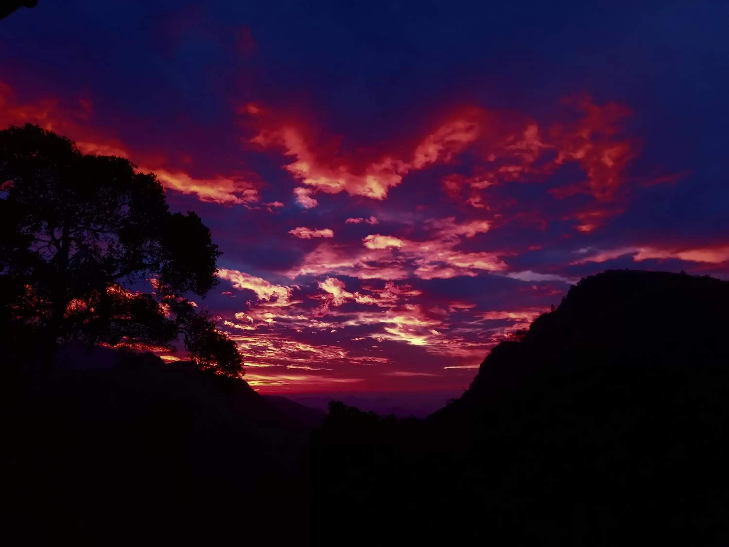 Natural landscape in Blue Ribbon Homestay