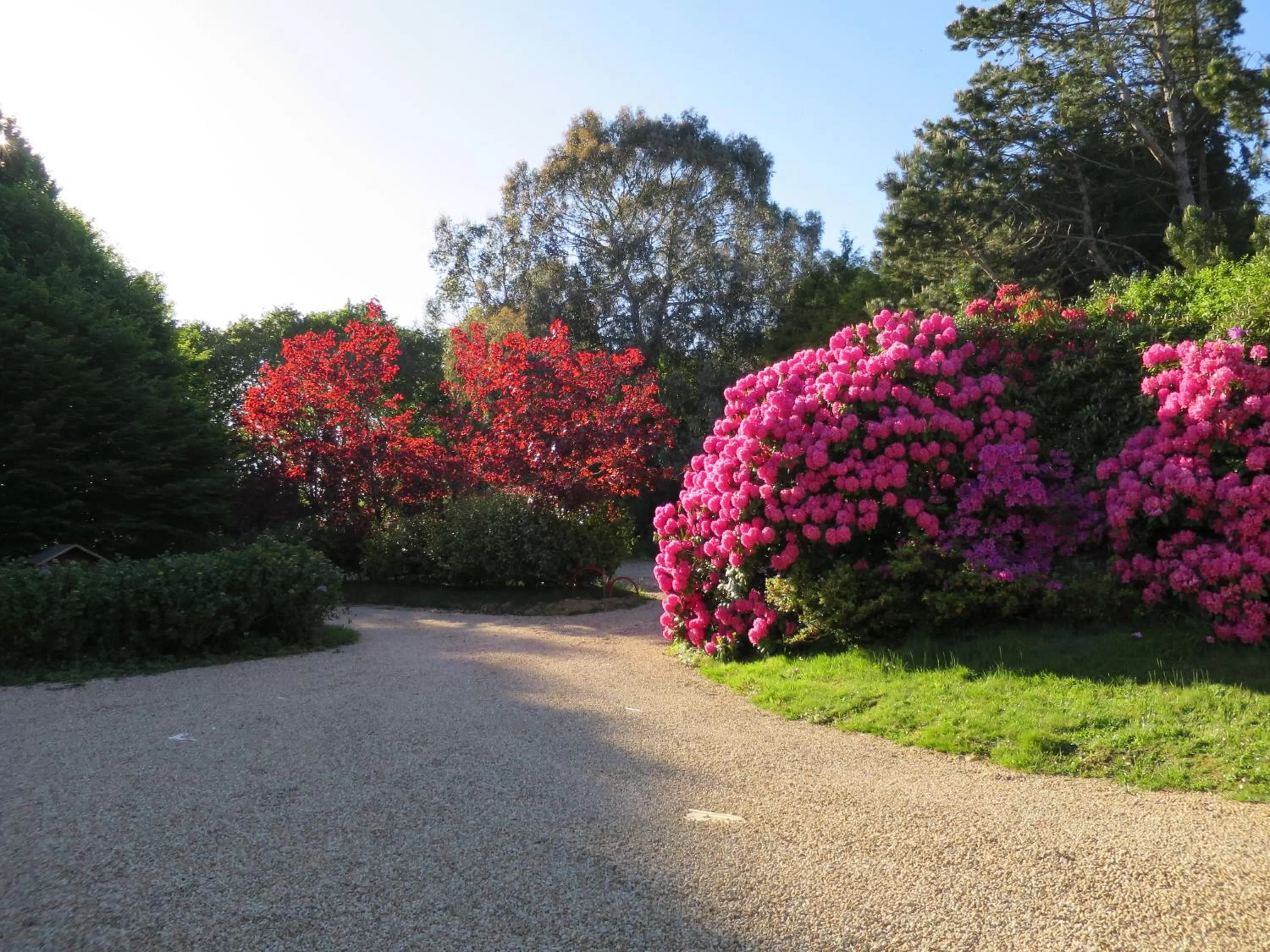 Spring in KerBlondel