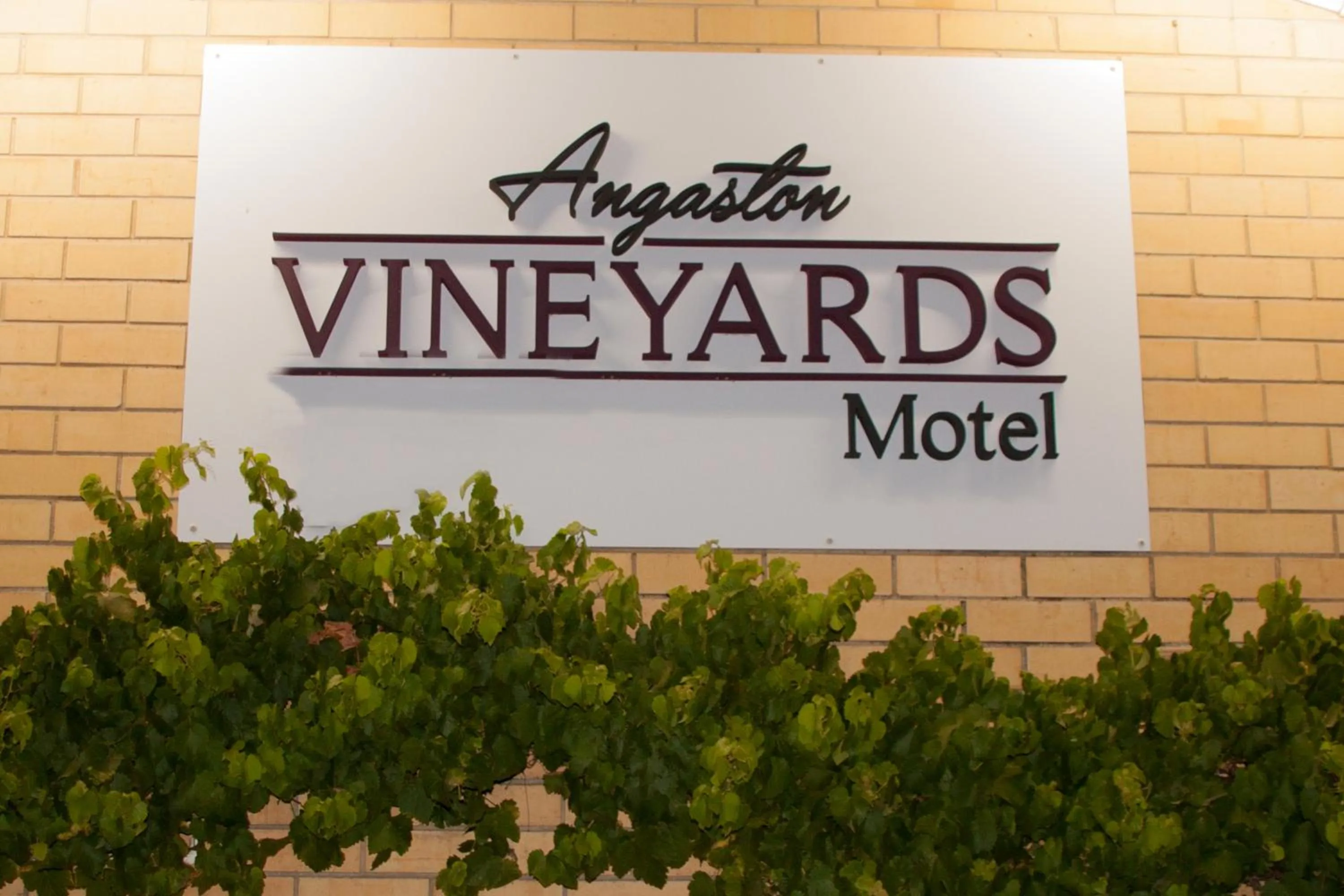 Property logo or sign in Angaston Vineyards Motel