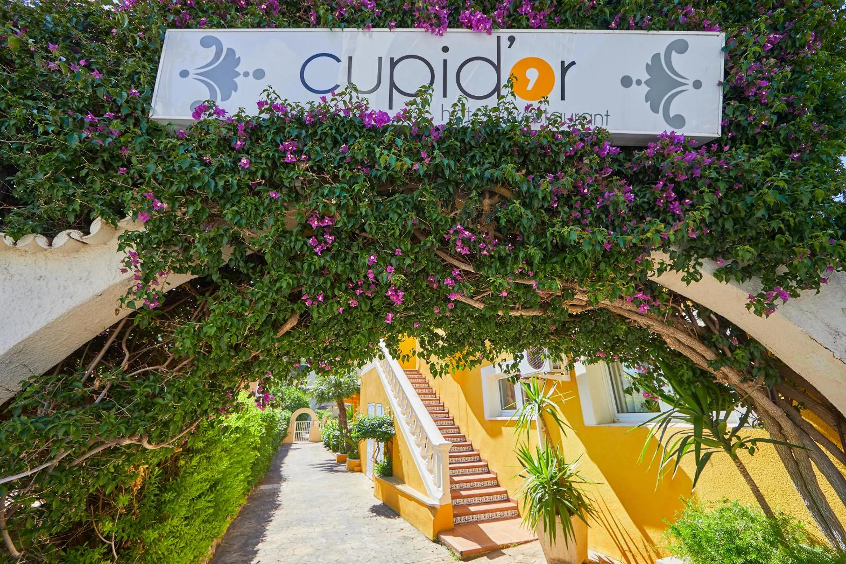 Day in Hotel Cupidor