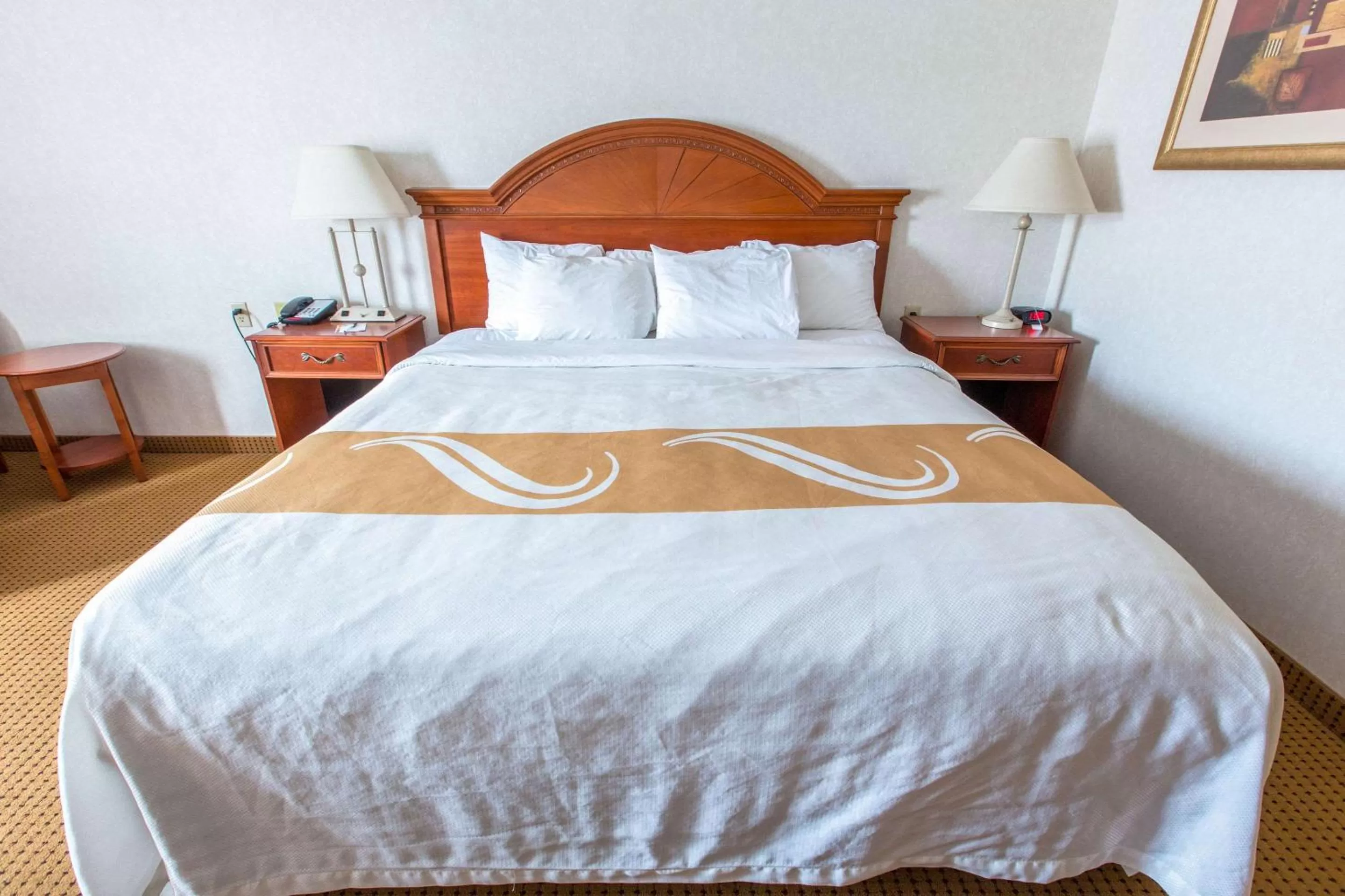 Photo of the whole room, Bed in Quality Inn & Suites University