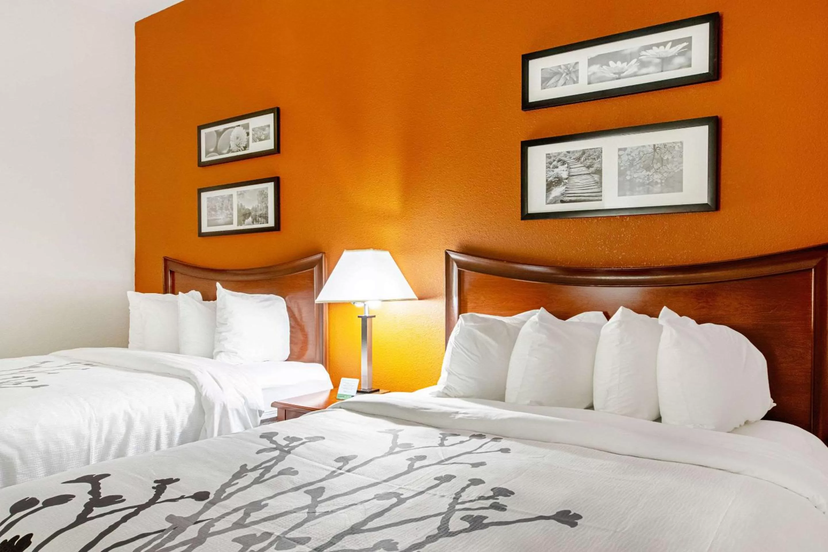 Photo of the whole room, Bed in Sleep Inn & Suites Hobbs