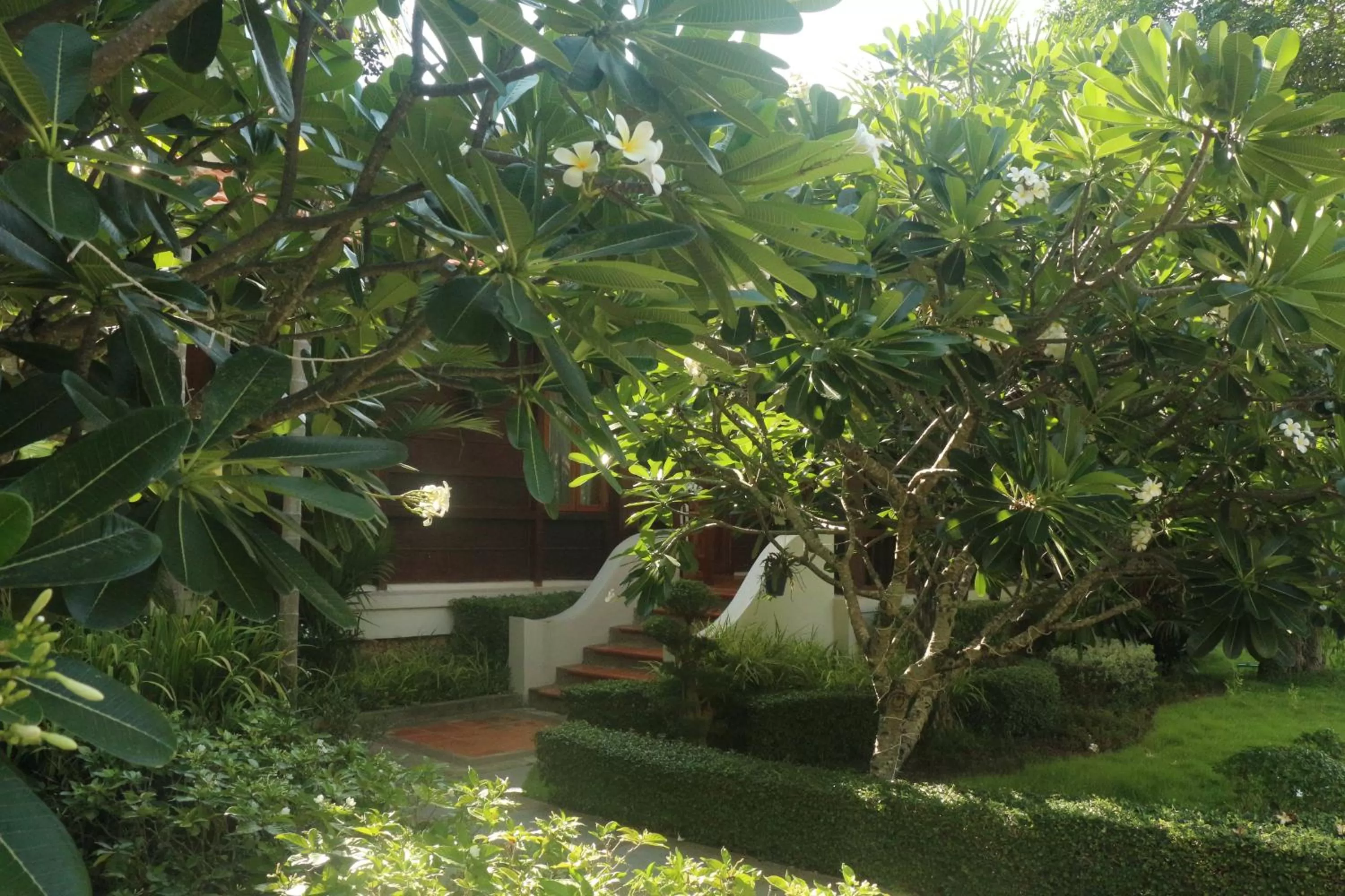 Garden view in Try Palace Resort Kep