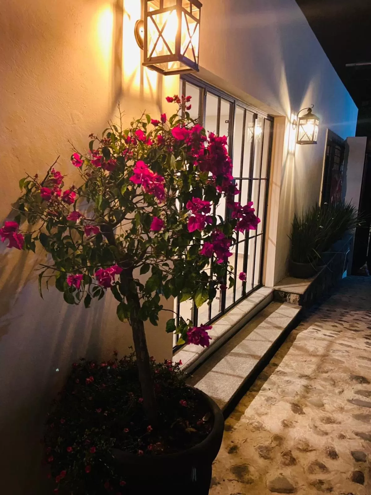 Tatala Hotel & Garden