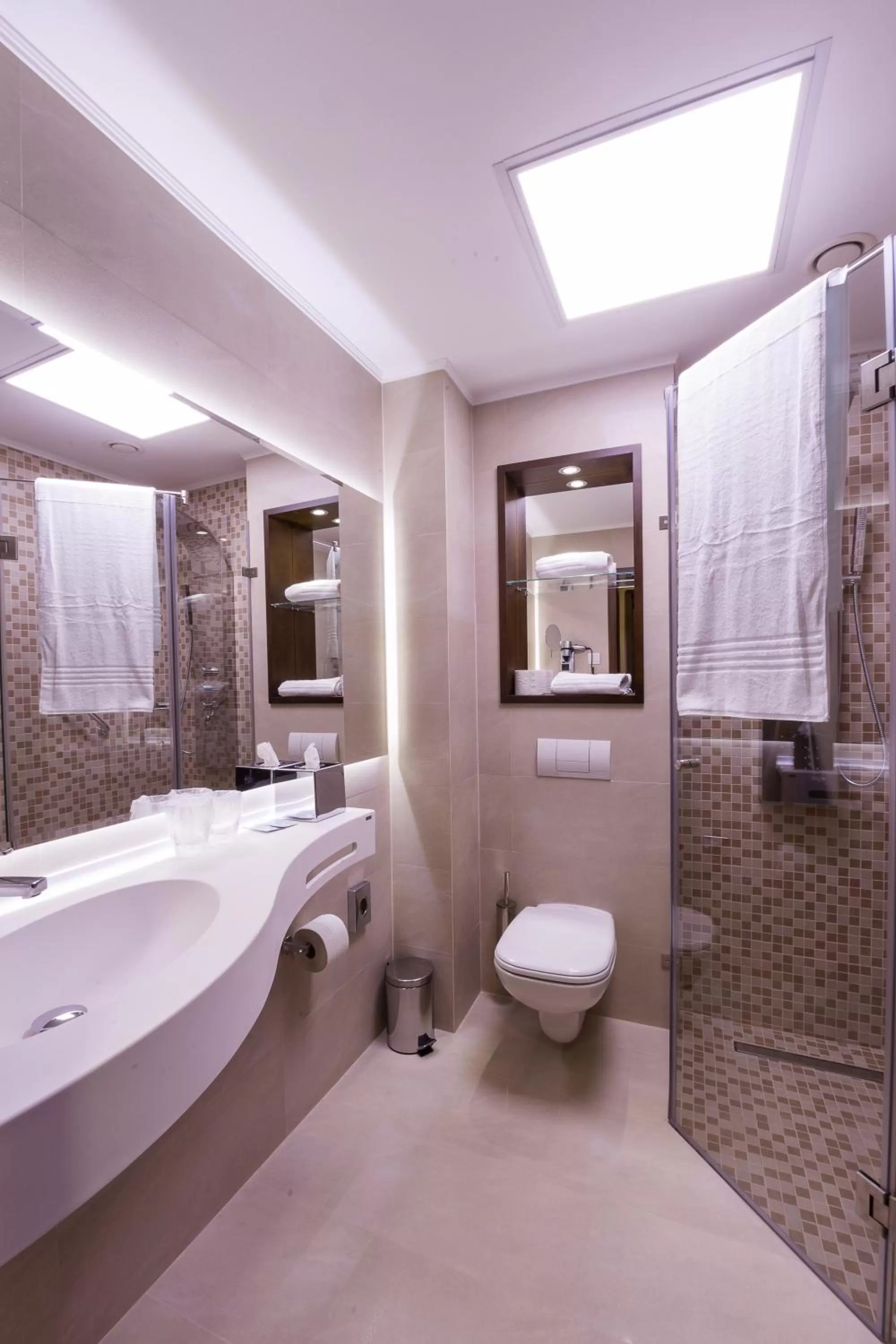 Bathroom in Hotel Transilvania