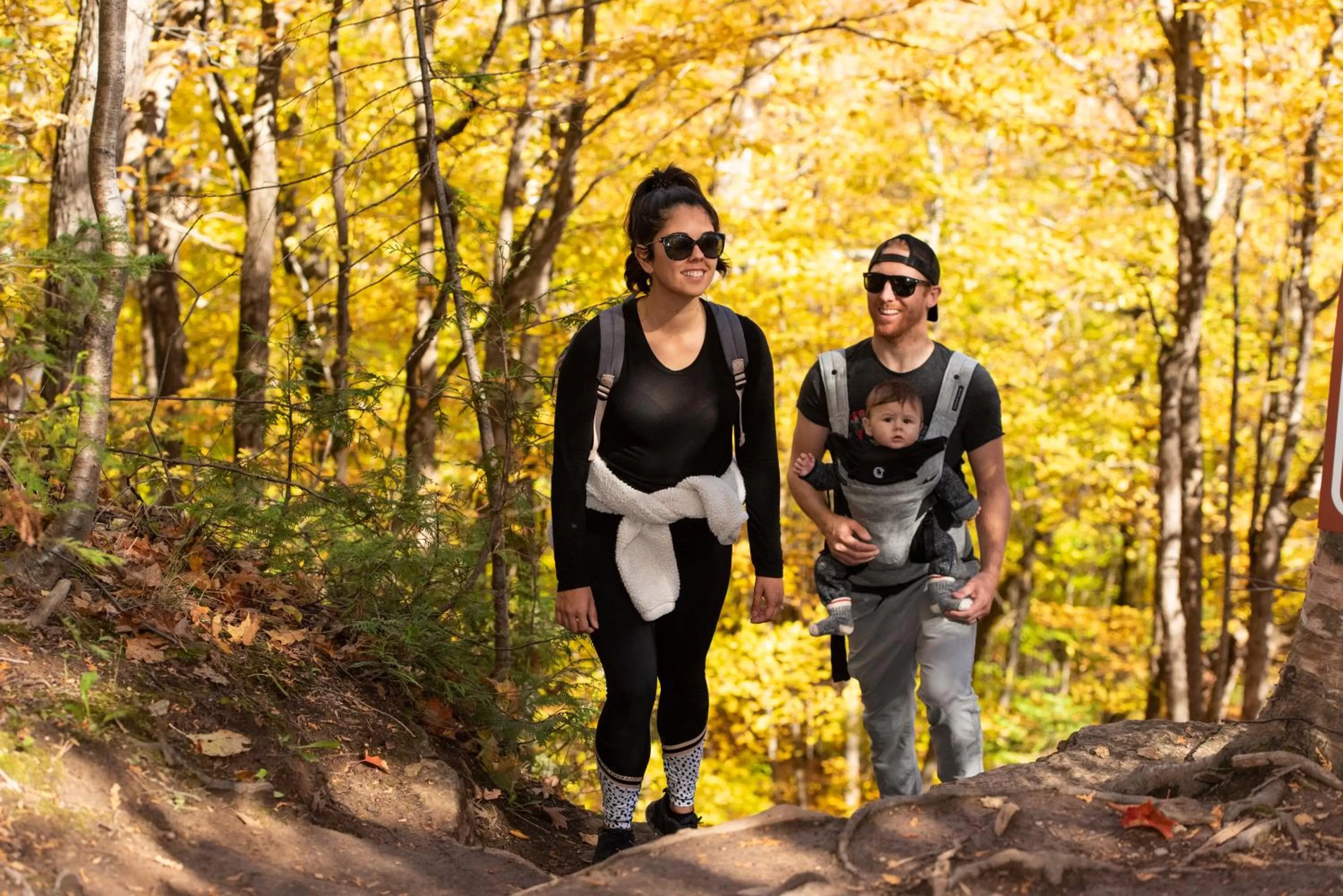 Natural landscape in Blue Mountain Resort Inn