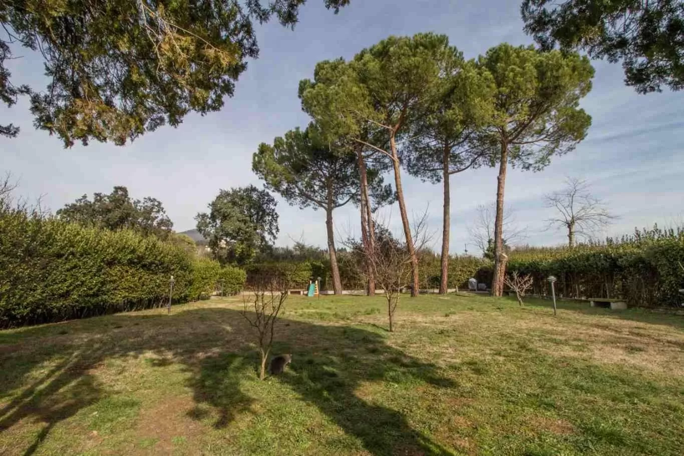 Garden in B&B PALAZZI