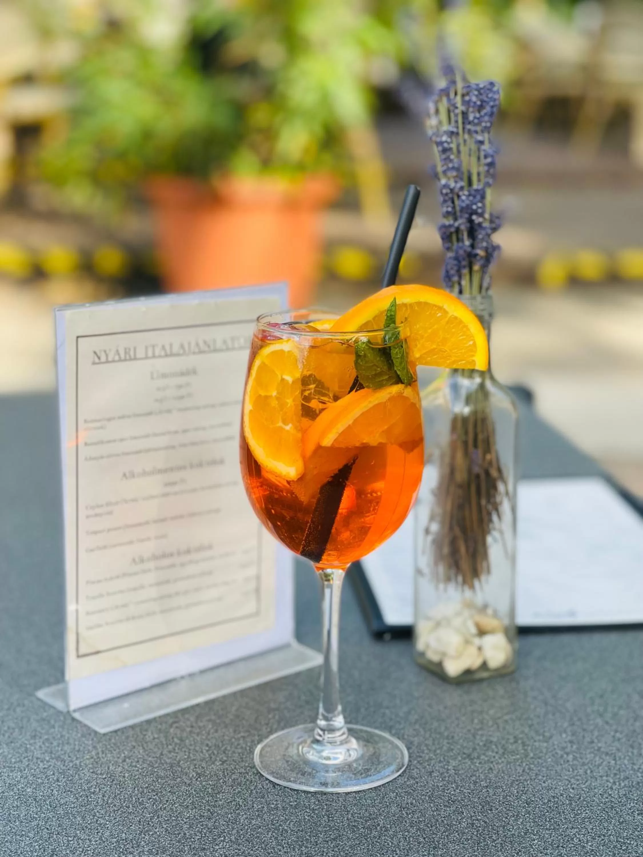 Restaurant/places to eat in Villa Hotel