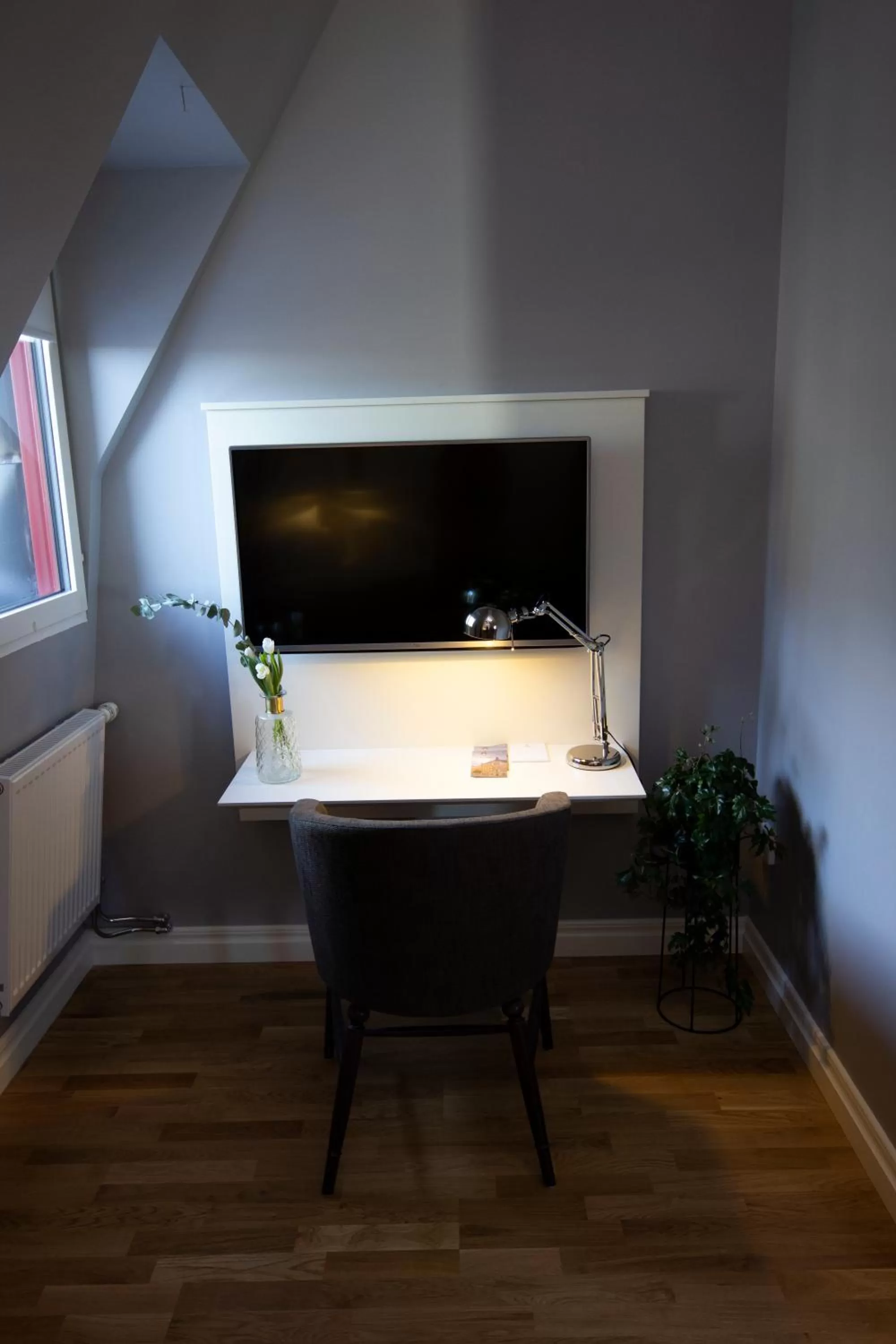 TV and multimedia in Hotell Hjalmar