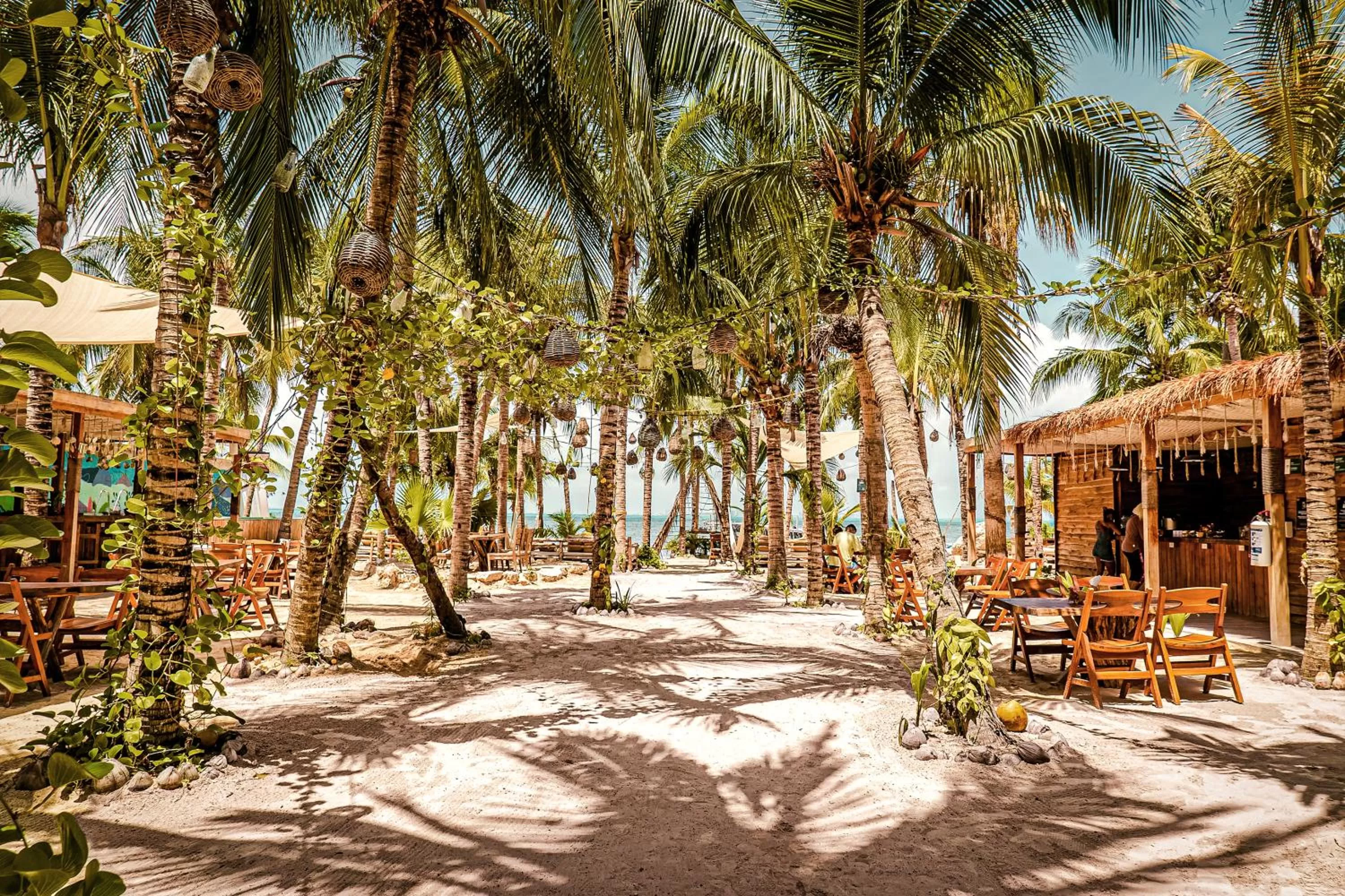 Restaurant/places to eat in Nomads Hotel, Hostel & Beachclub