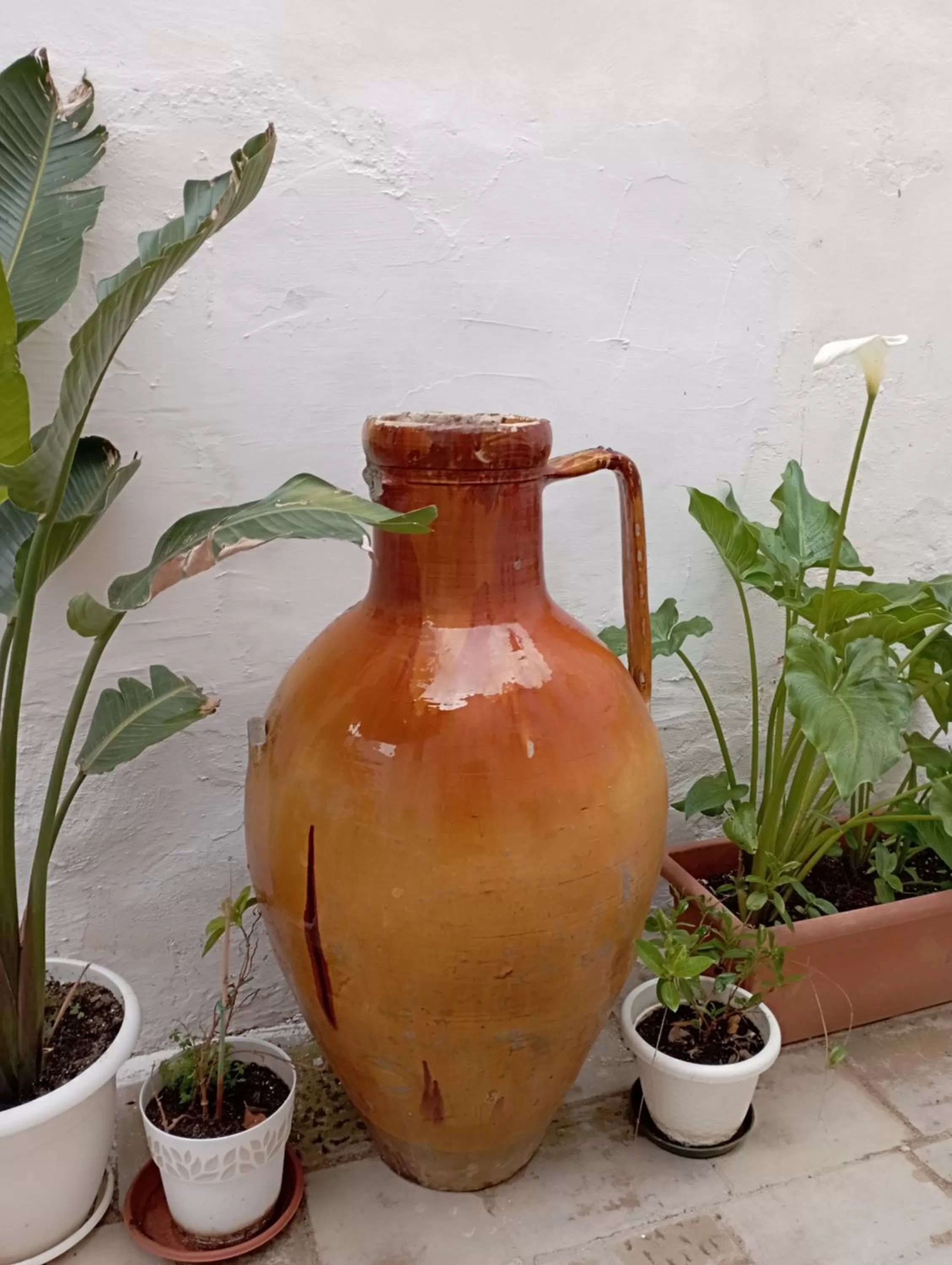 Property building in Agrimi b&b