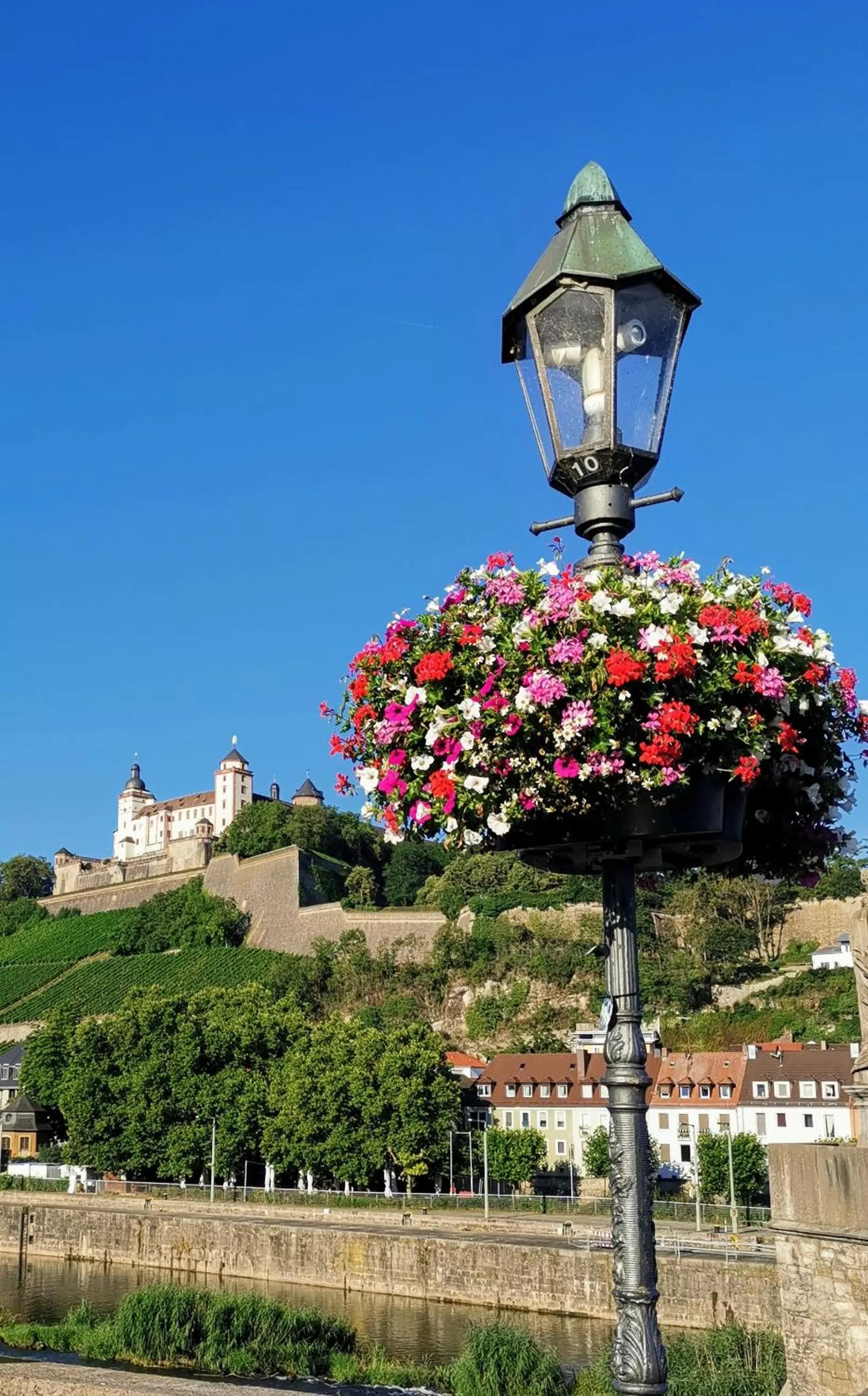 Staff, Property Building in Zum Winzermännle