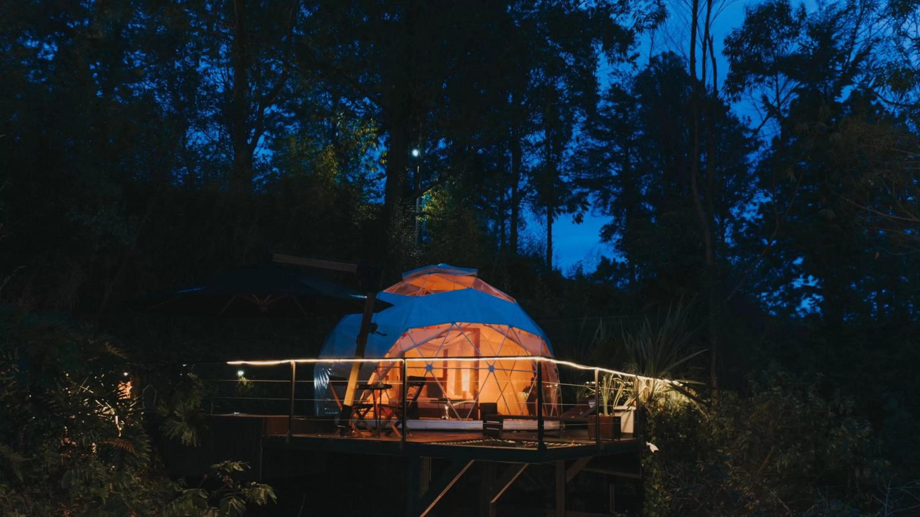 Night in Domus Glamping Guatapé