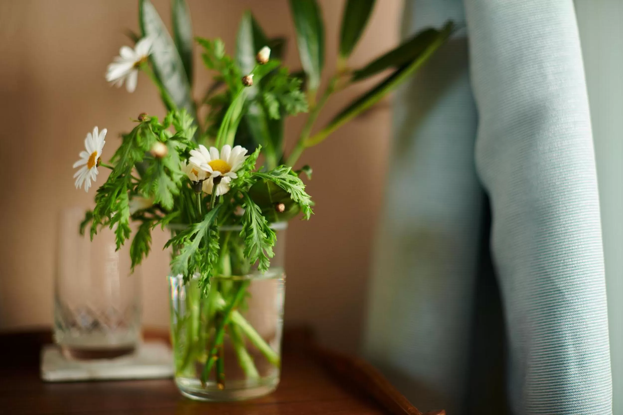 Summer in Hotell Bäckagården