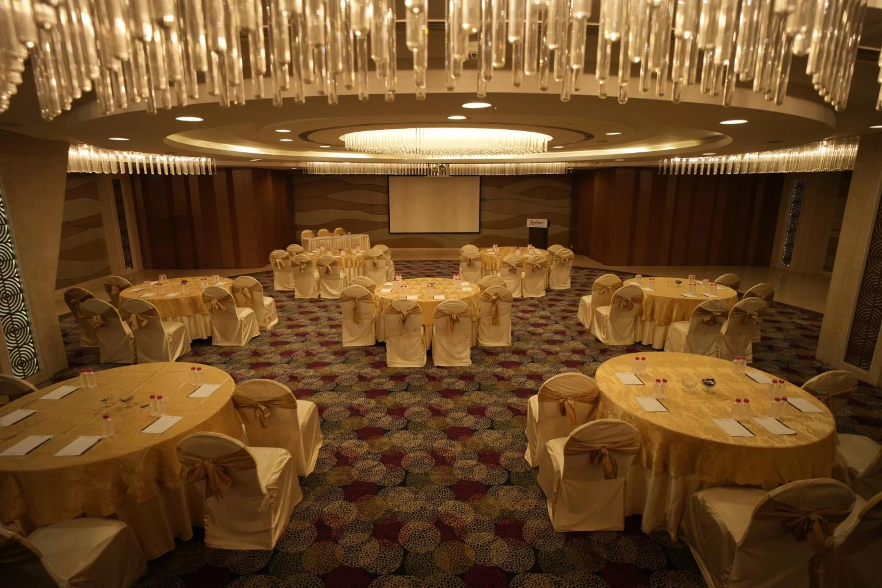 Banquet/Function facilities in Radisson Udaipur