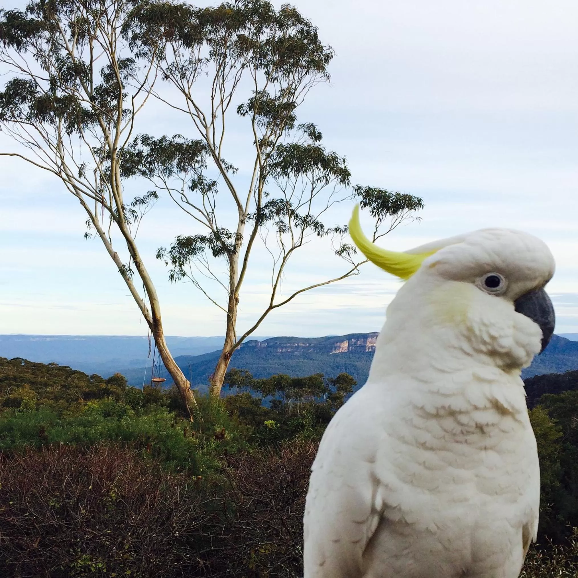 Animals in Valley of the Waters B&B