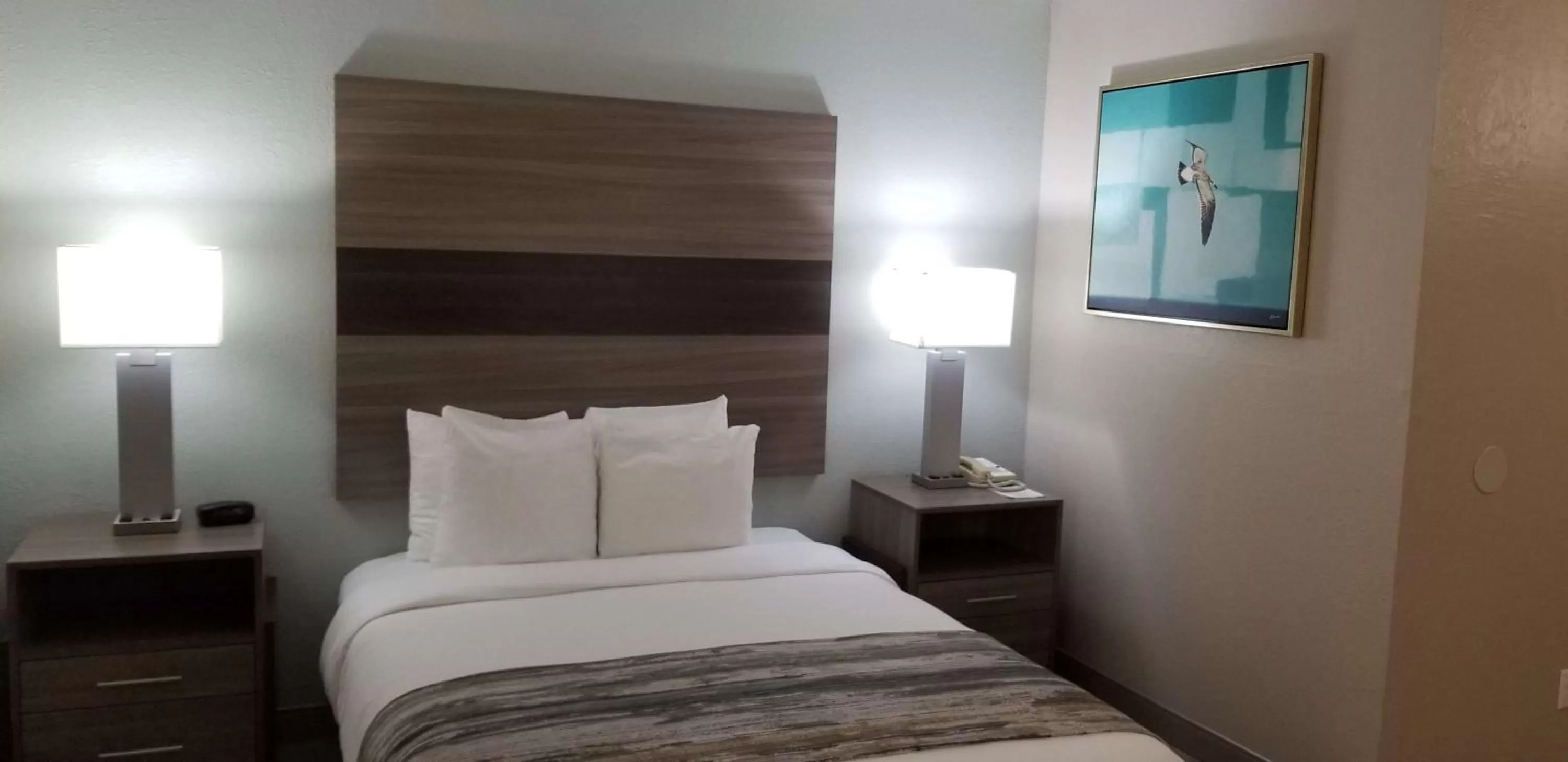 Queen Room - Mobility Accessible/Non-Smoking in Best Western Intracoastal Inn