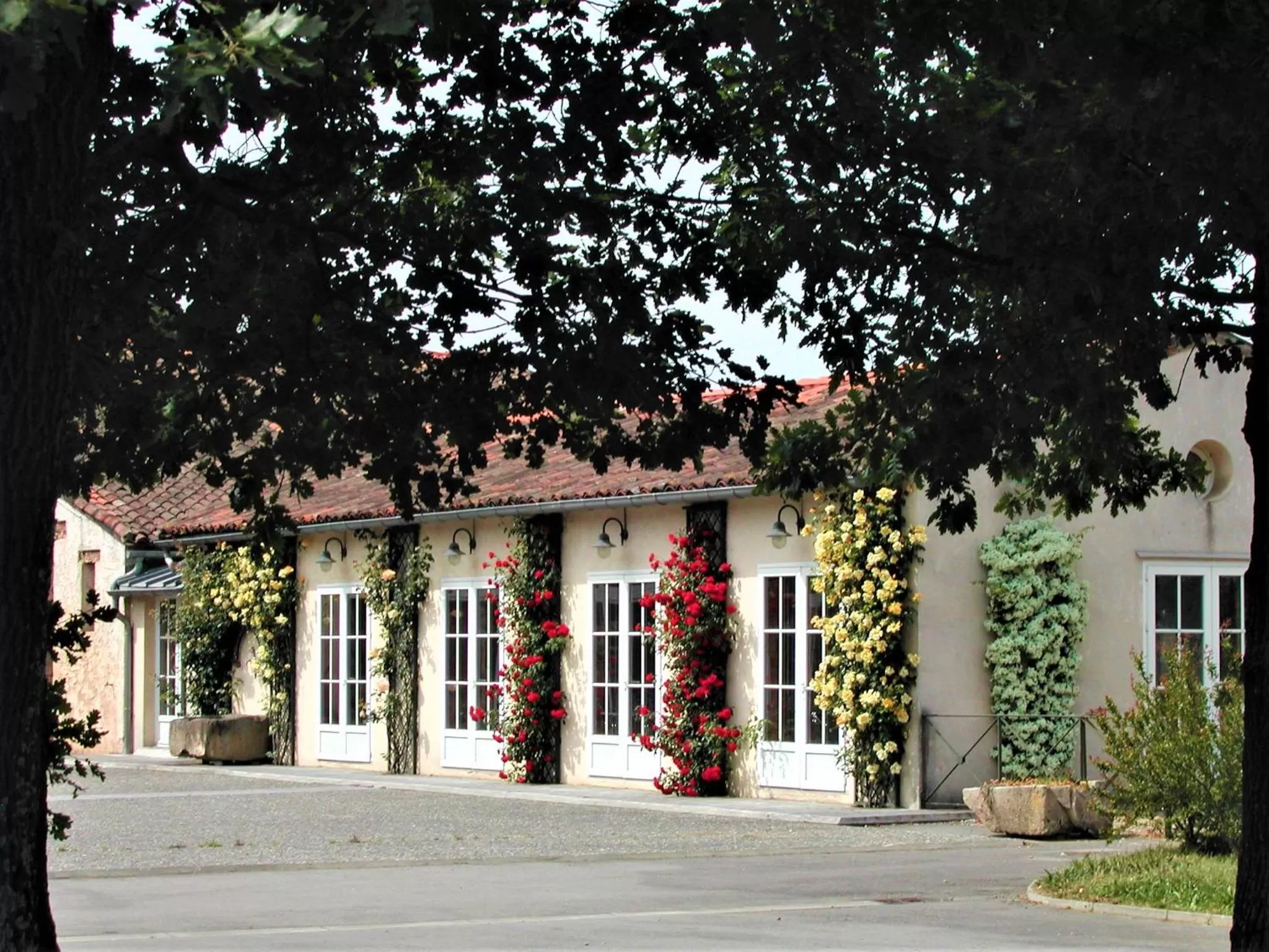 Patio in Best Western Plus Le Canard sur le Toit