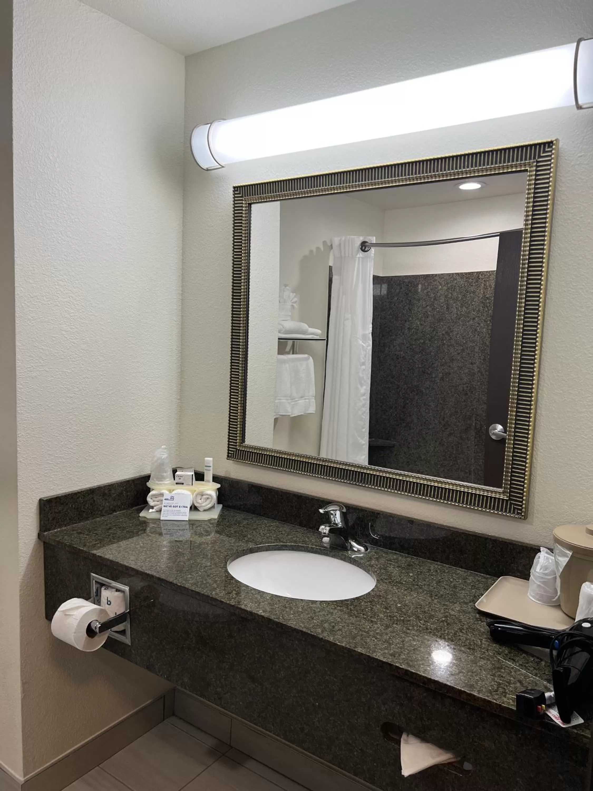 Bathroom in Holiday Inn Express & Suites - Omaha I - 80 by IHG