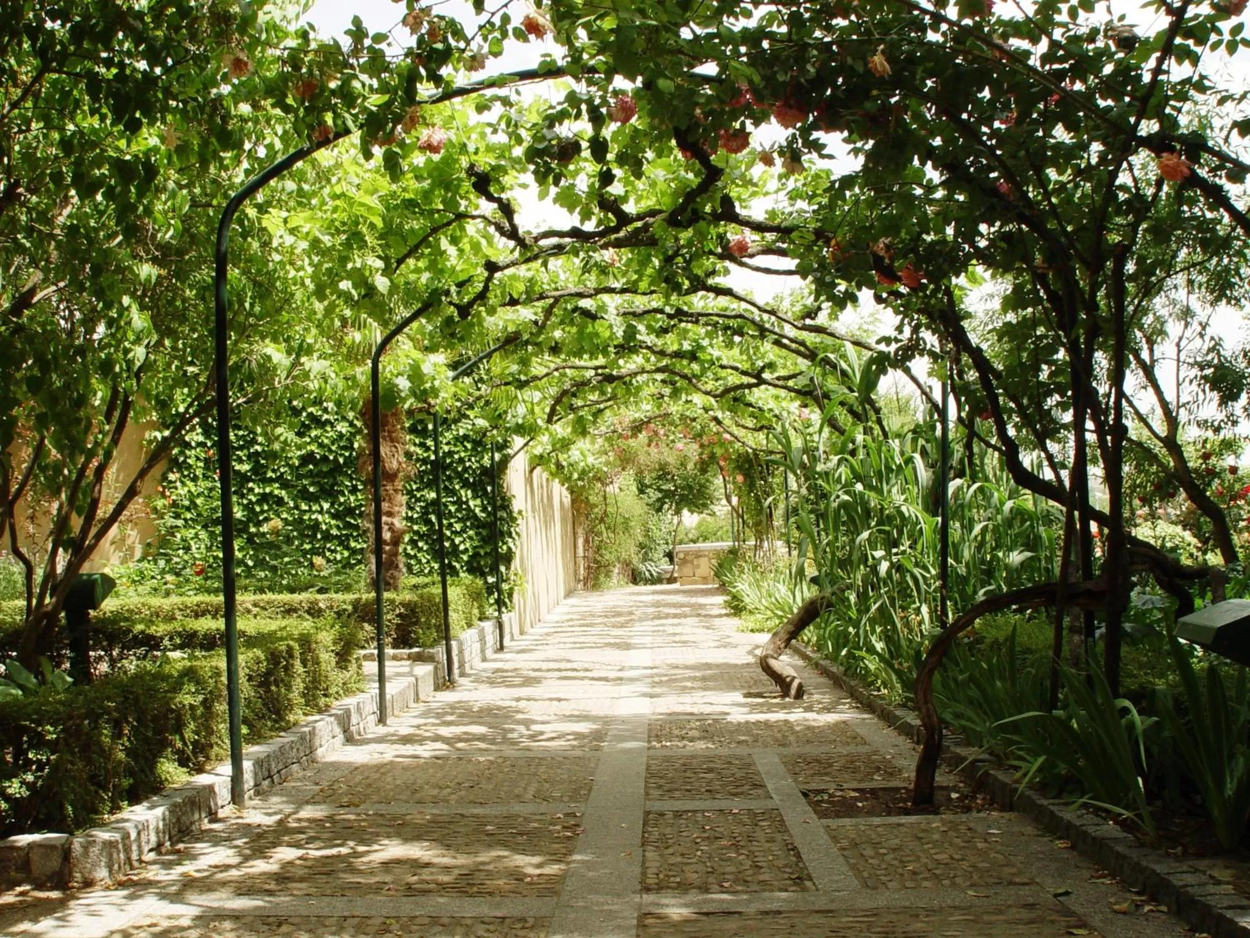 Nearby landmark in Hotel San Polo