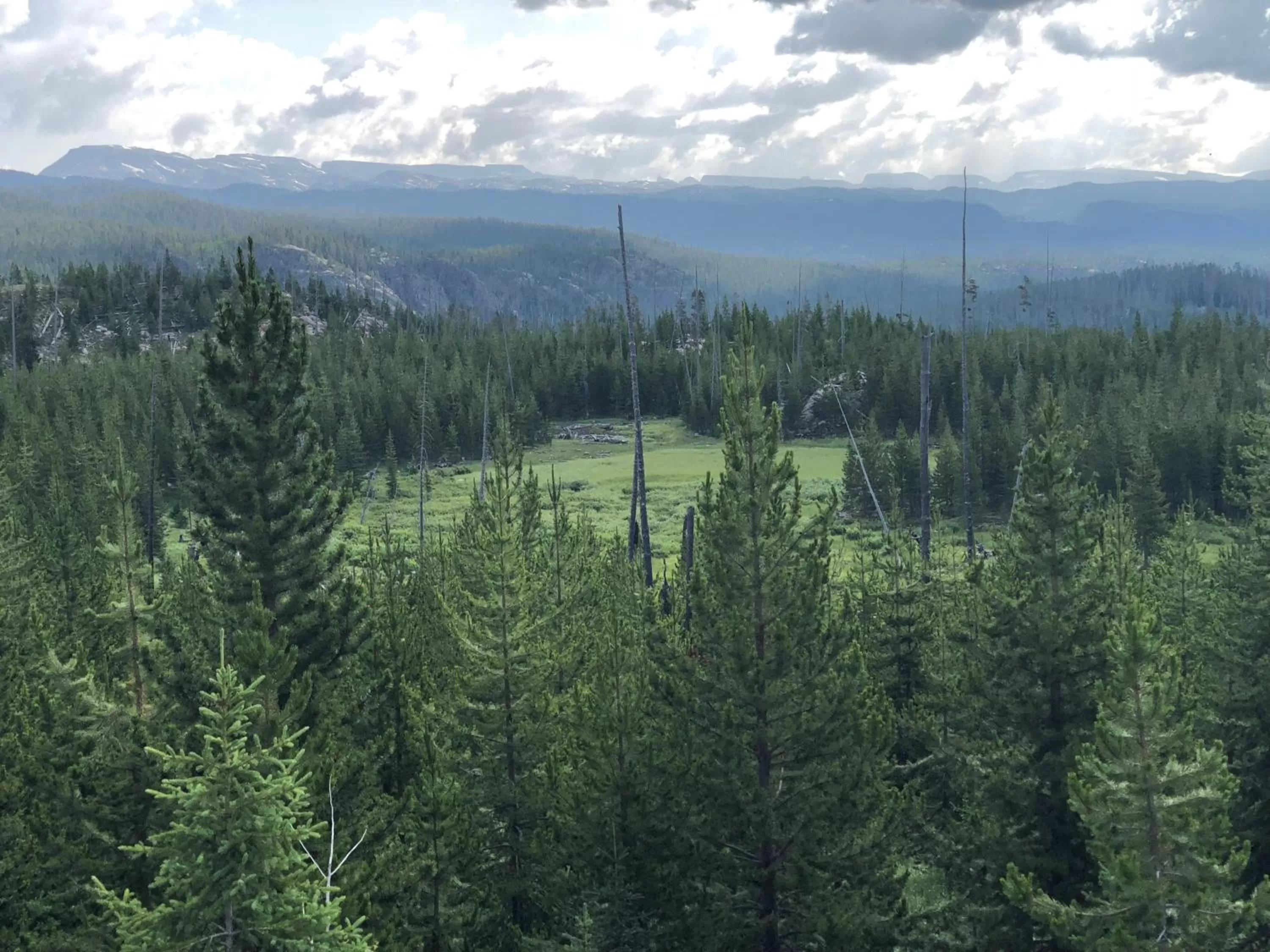 Day in Antlers Lodge