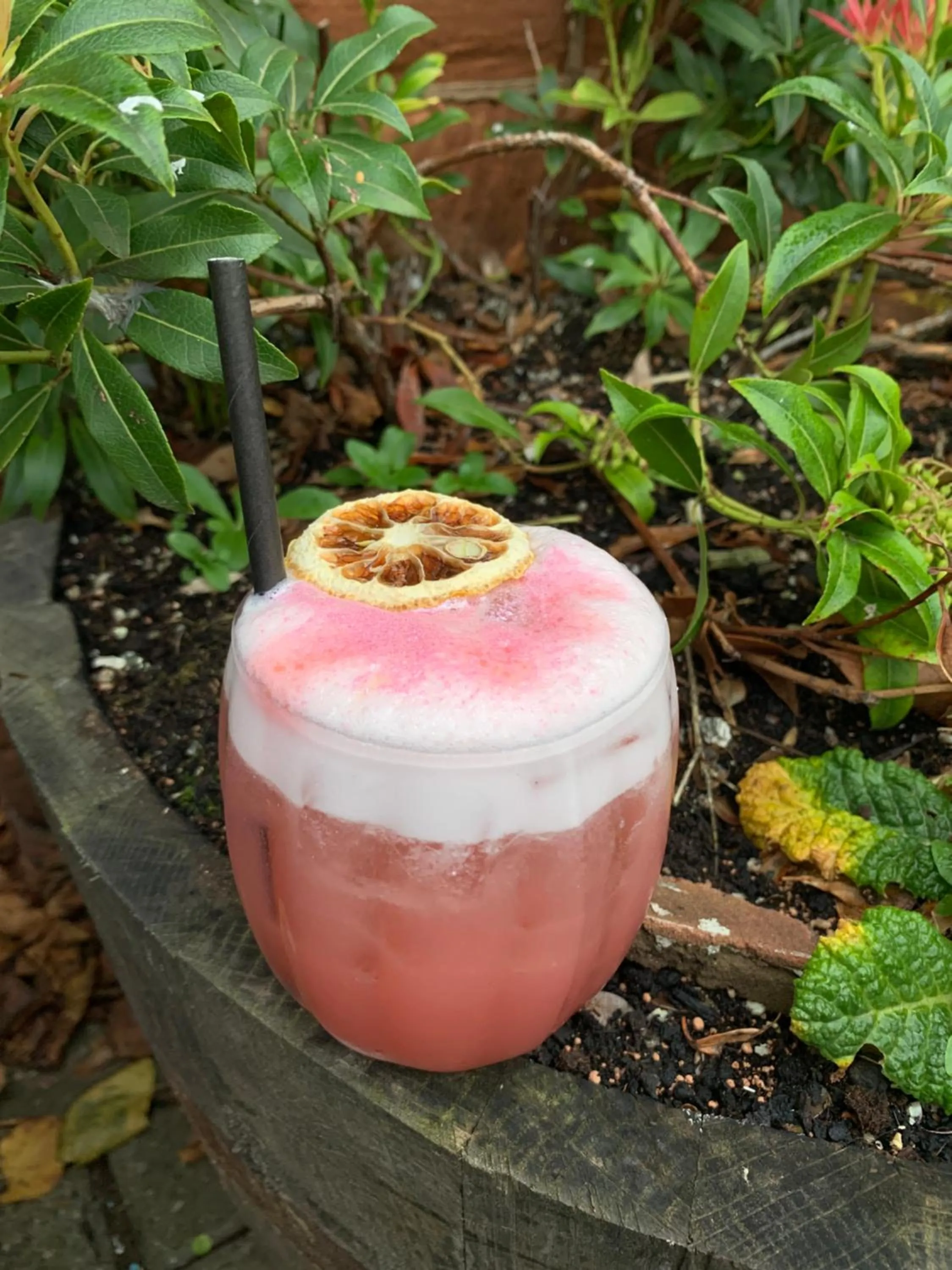 The Capon Tree Town House