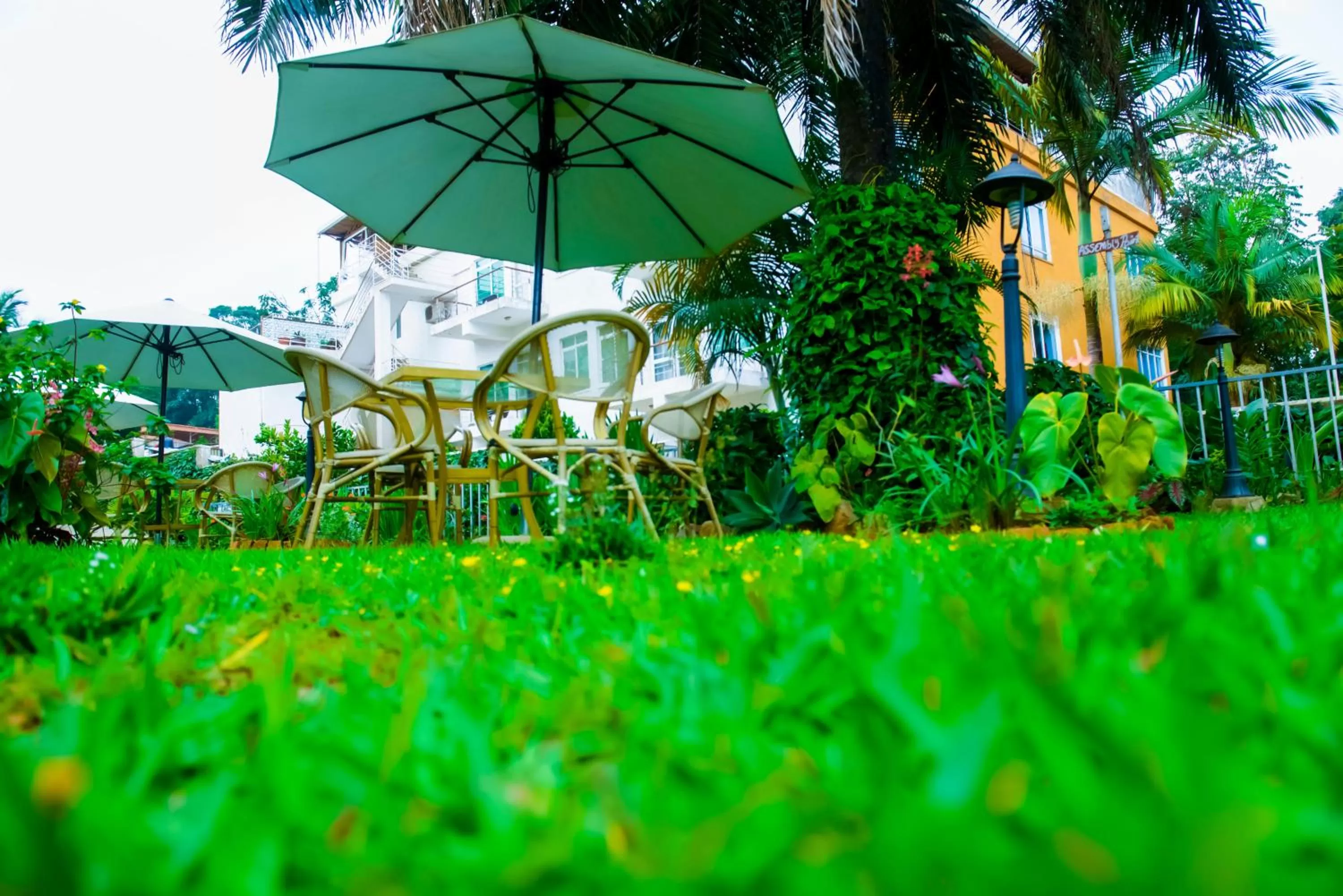 Garden in One Click Hotel