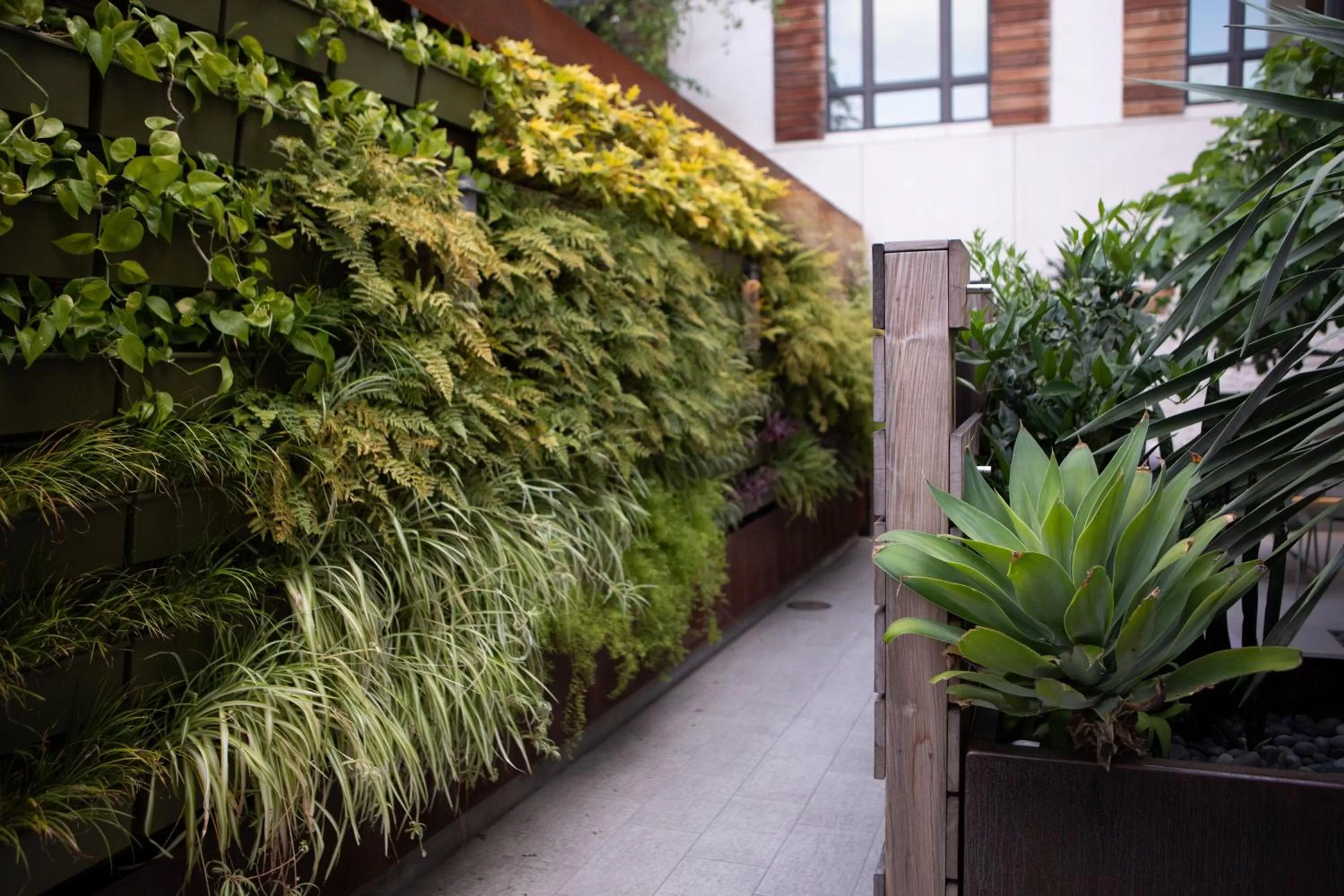 Other in HOTEL CERRO, Autograph Collection