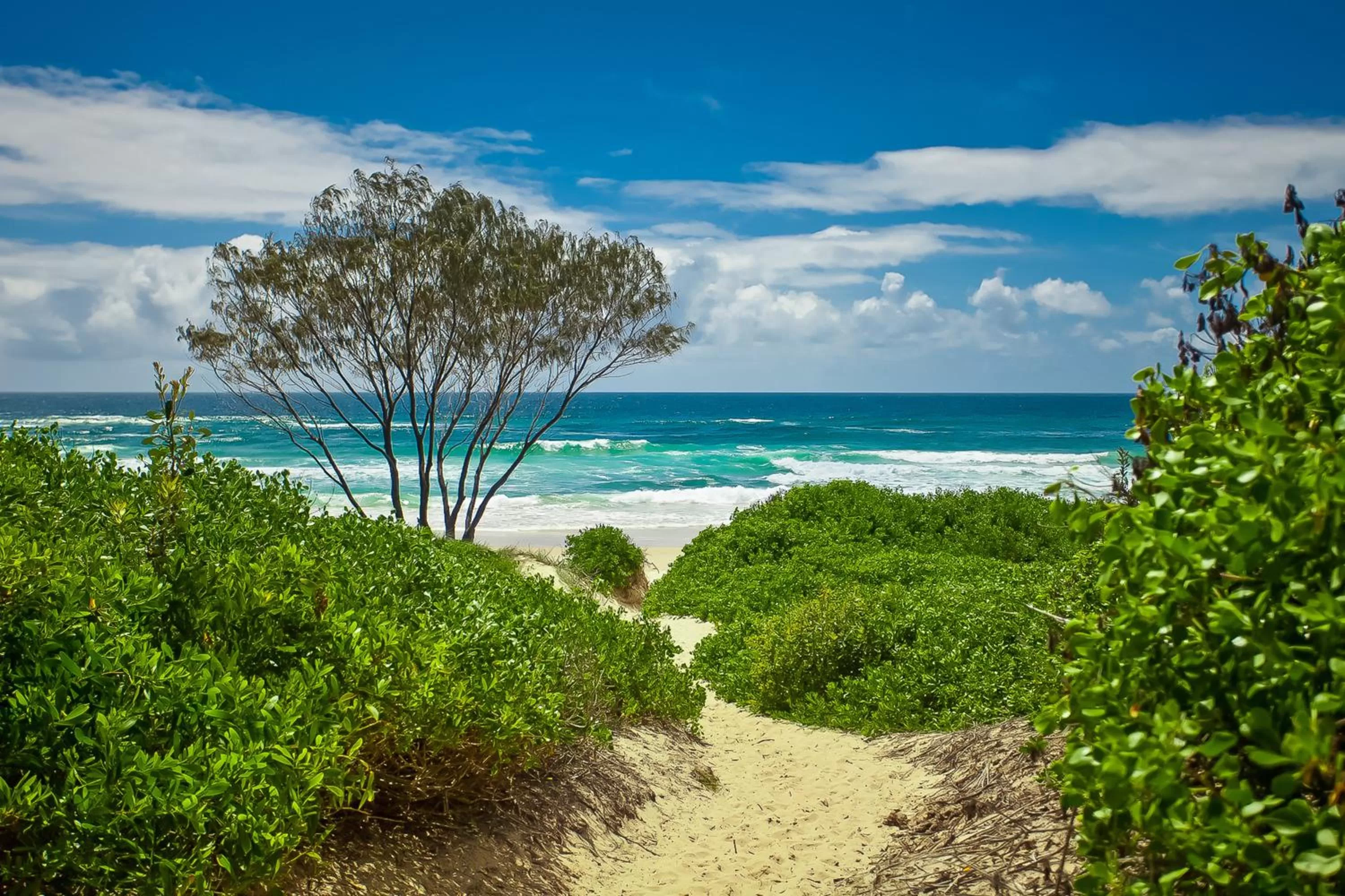 Beach in The Oasis Apartments and Treetop Houses