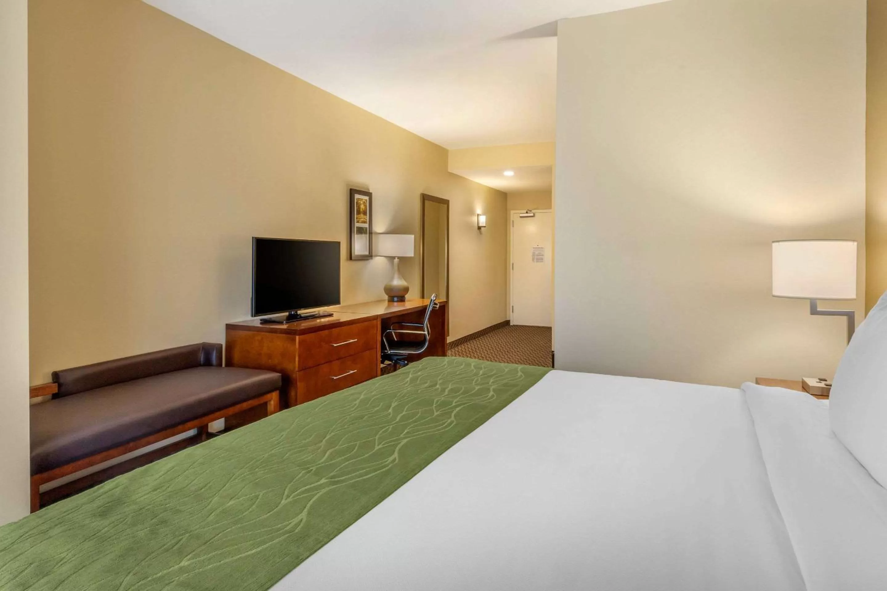 Photo of the whole room, Bed in Comfort Inn & Suites Florence Center Area