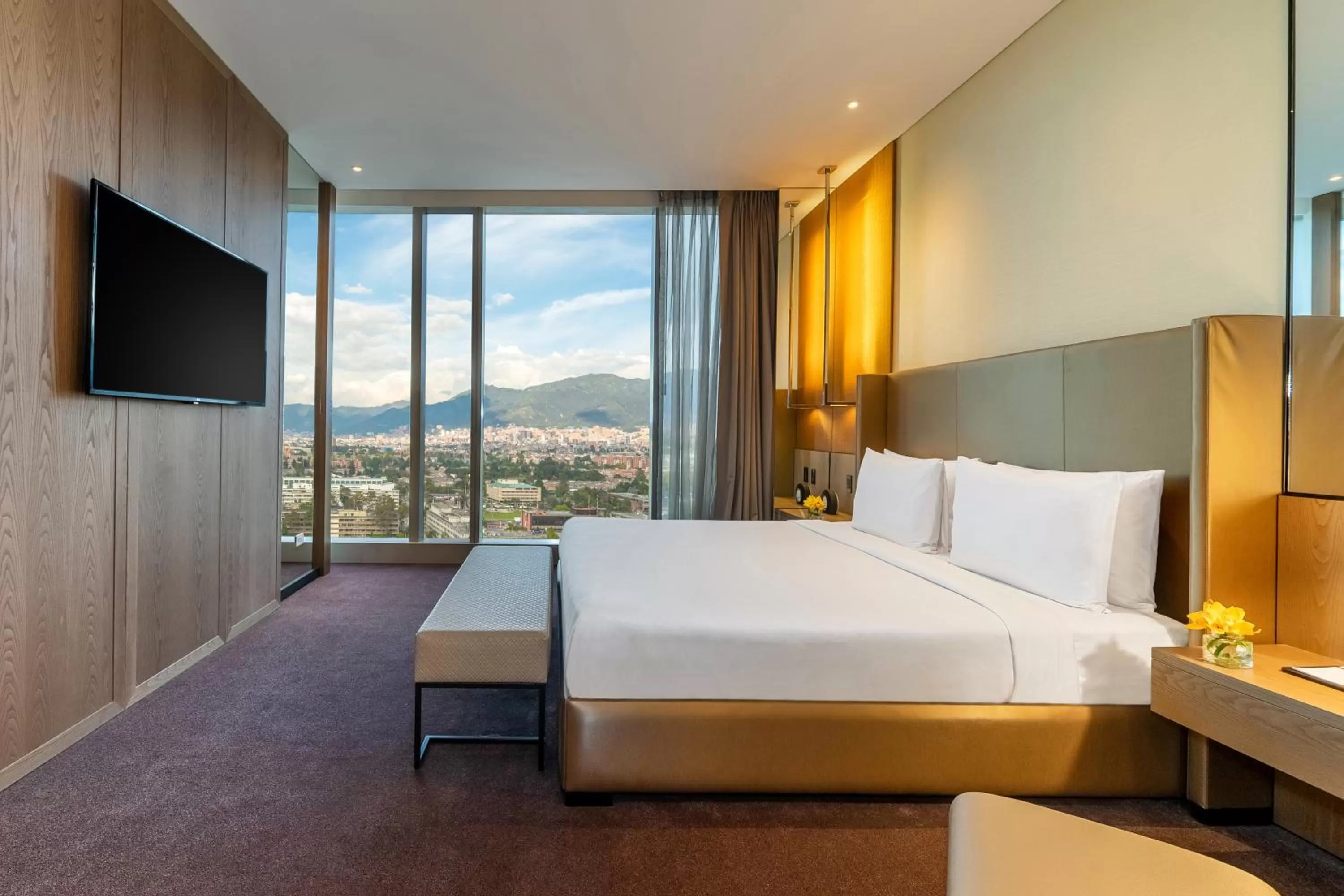 Grand King Suite in Grand Hyatt Bogota