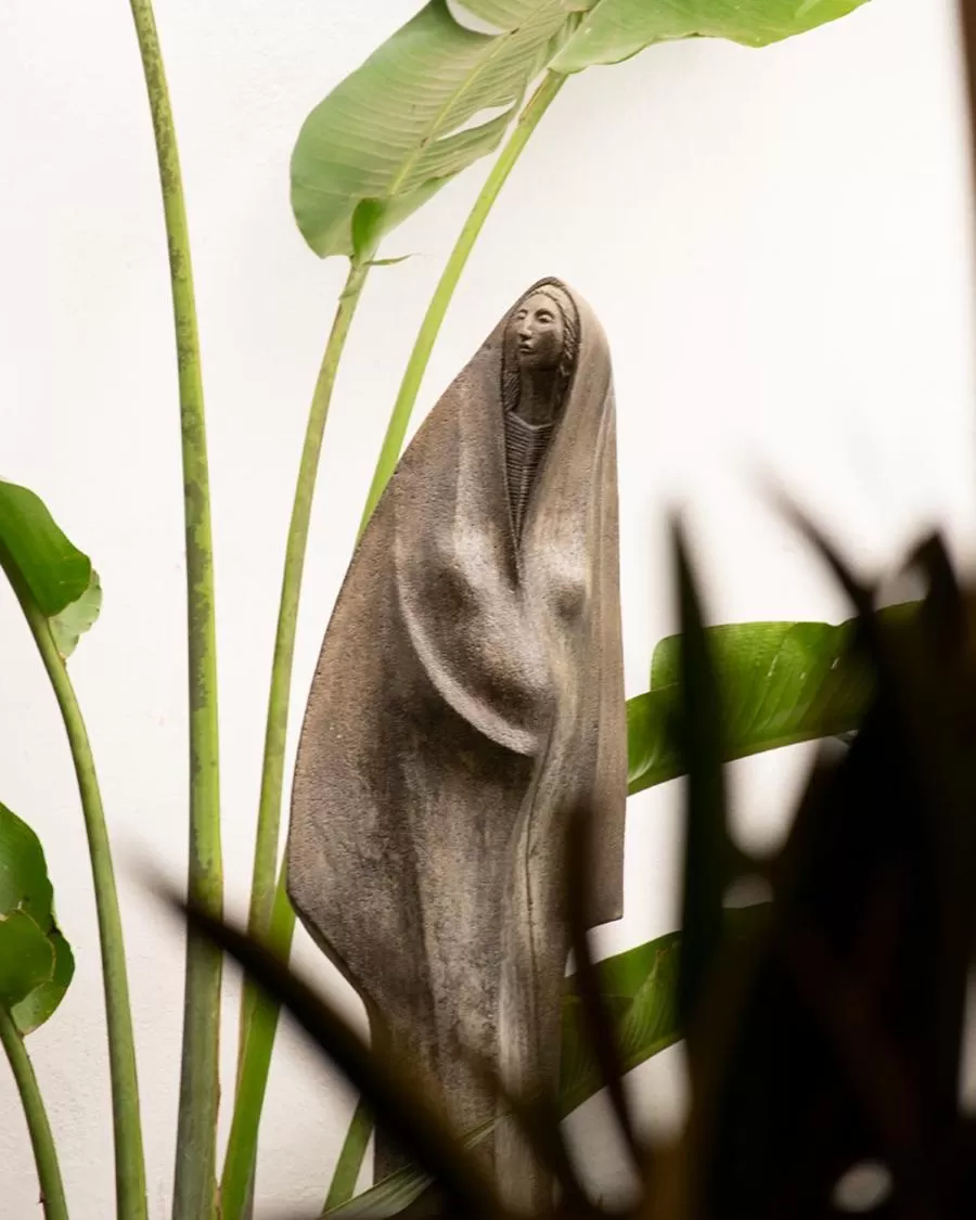 Property building, Other Animals in Hotel Catedral