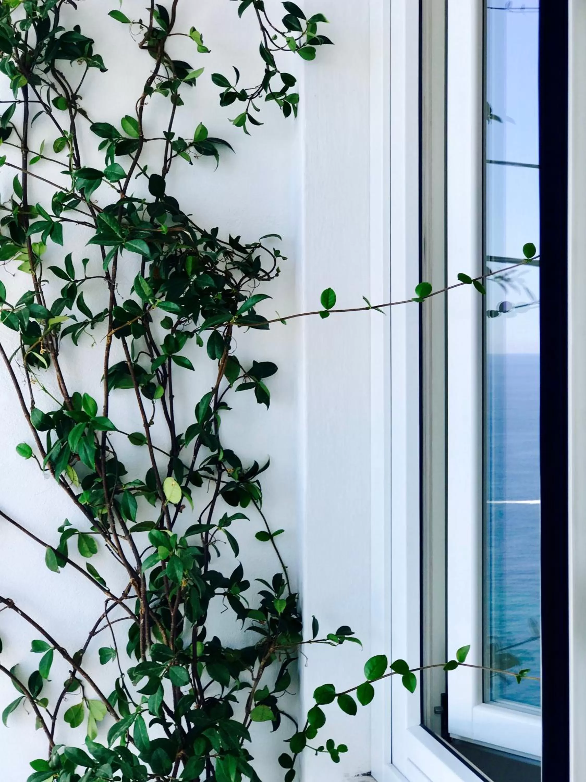 Decorative detail in Les Lilas