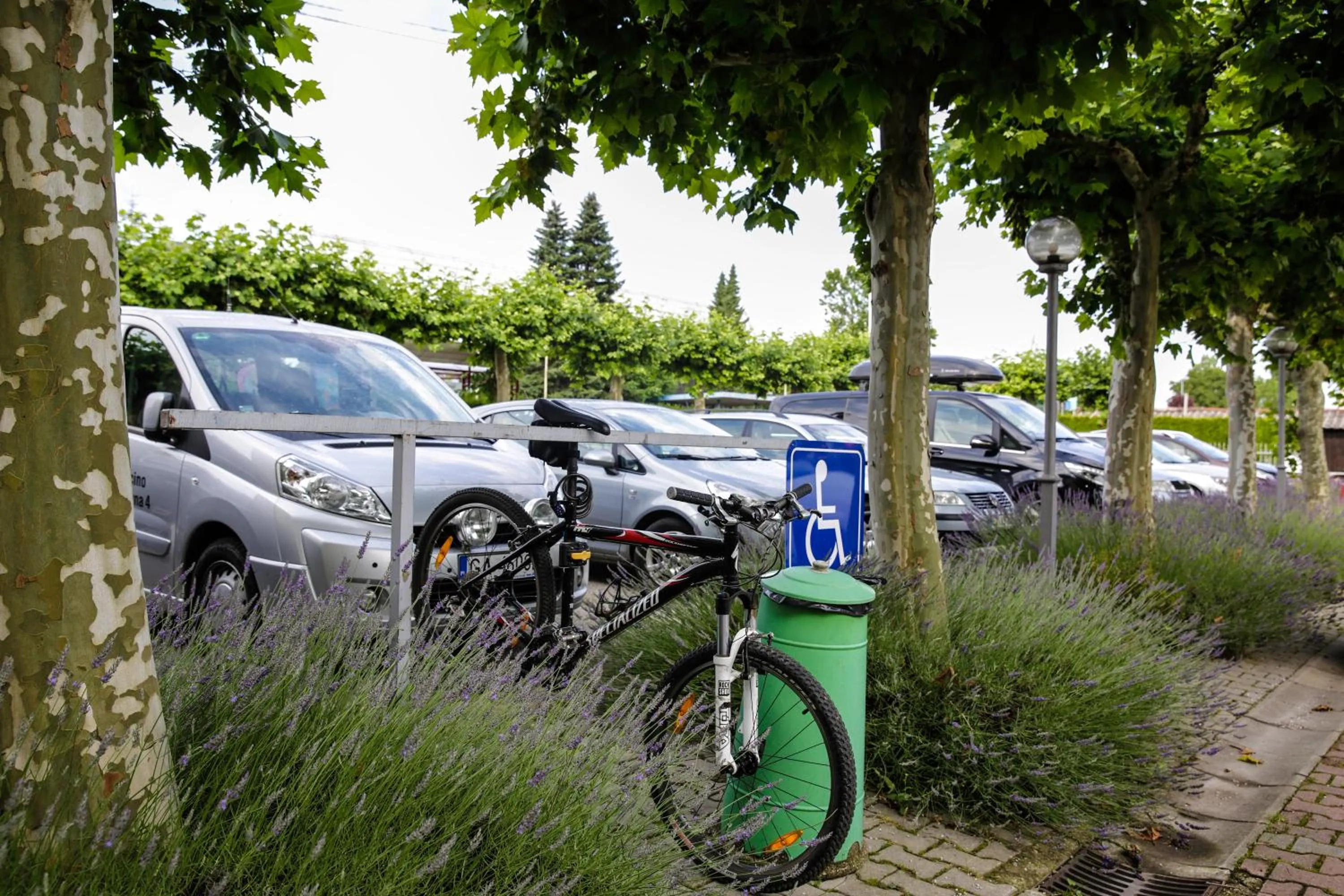 Garden in Hotel Tabor Maribor