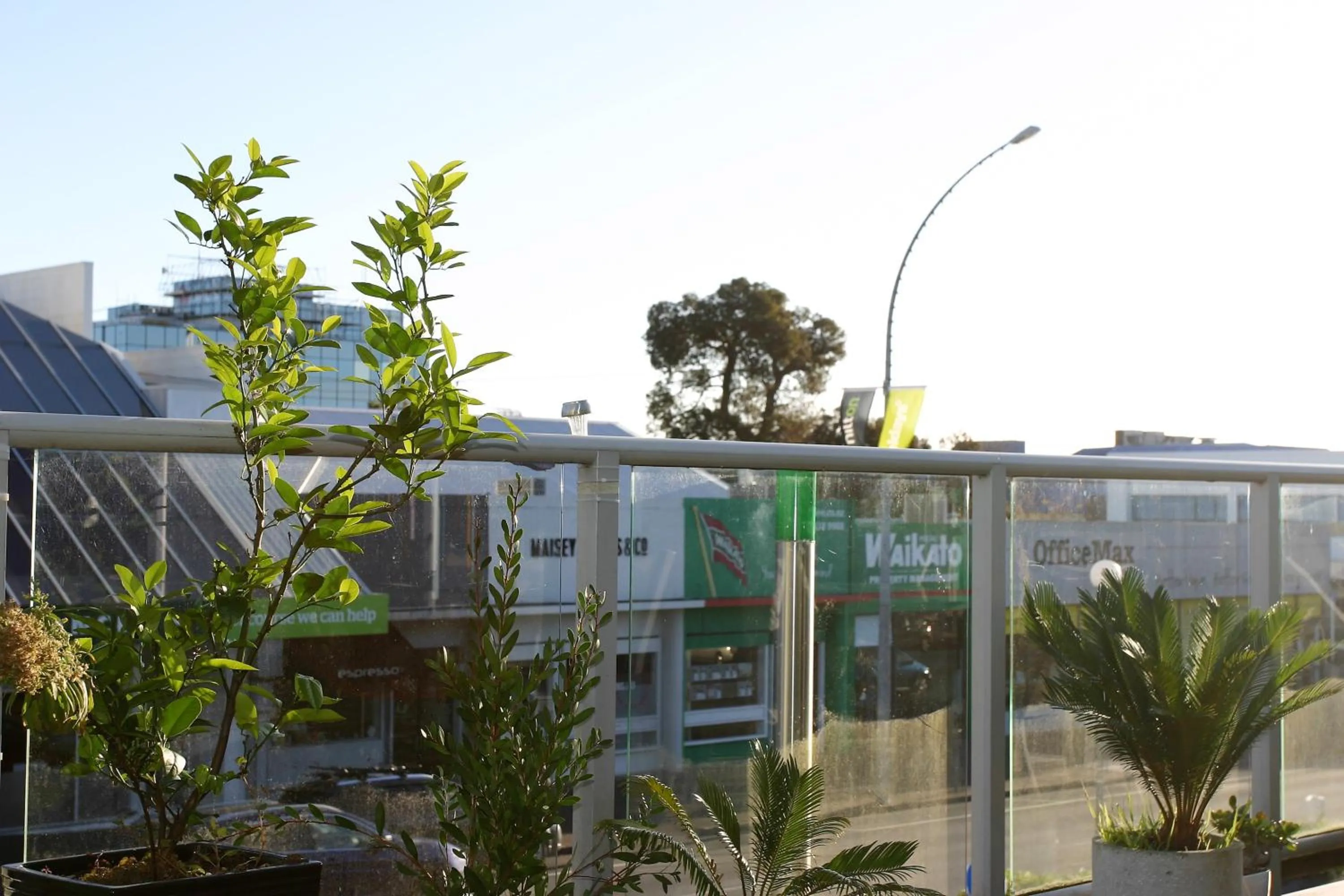 Property building in Backpackers Central Hamilton