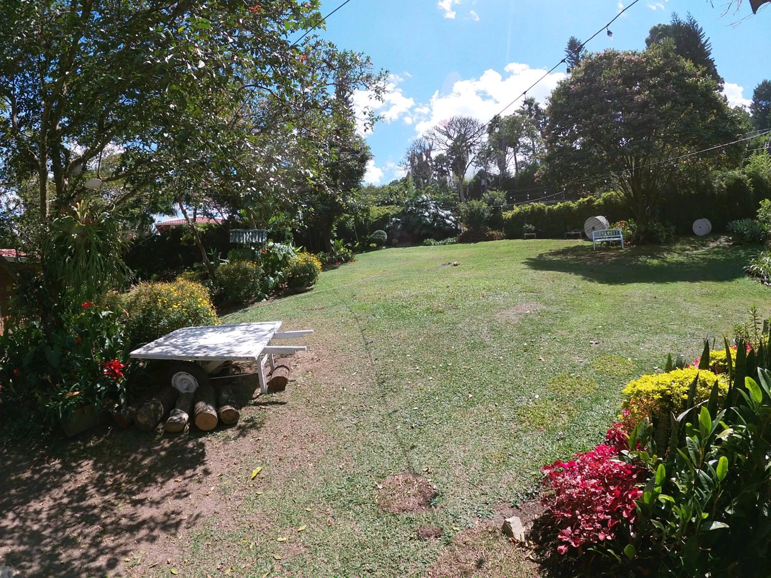 Spring in Hotel Casa Madero