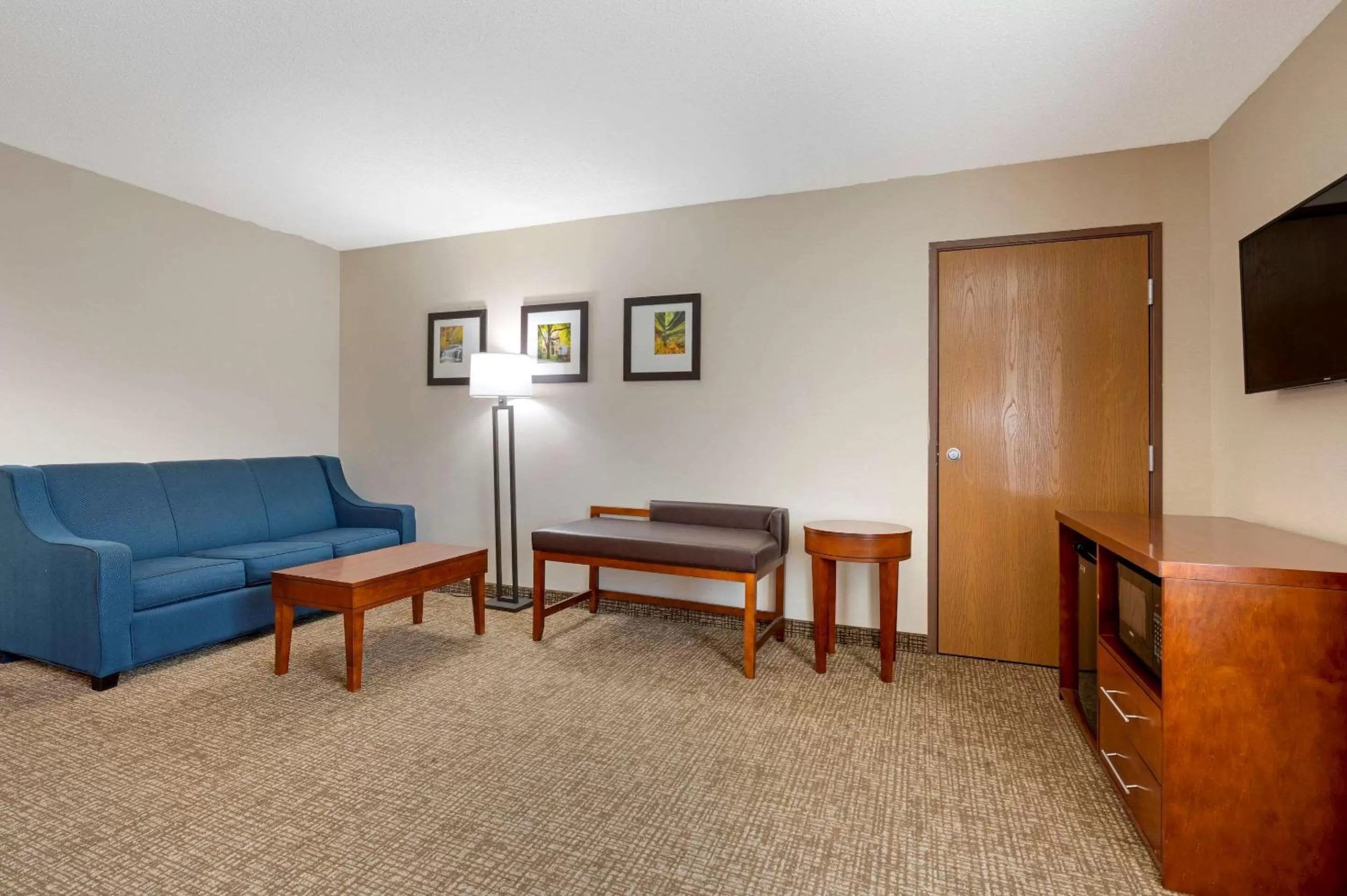 Photo of the whole room in Comfort Inn Anderson South