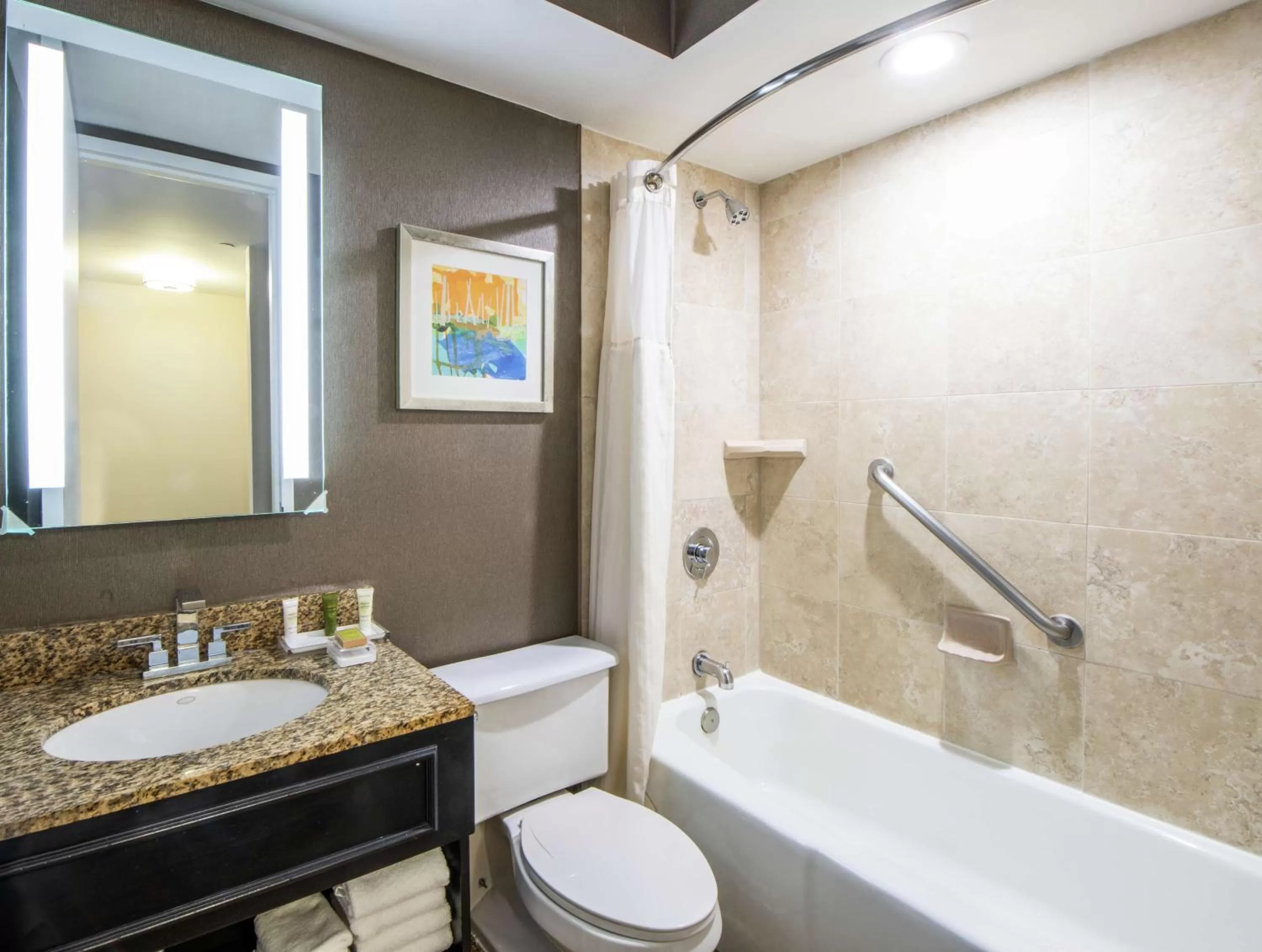 Bathroom in Hilton St. Petersburg Bayfront