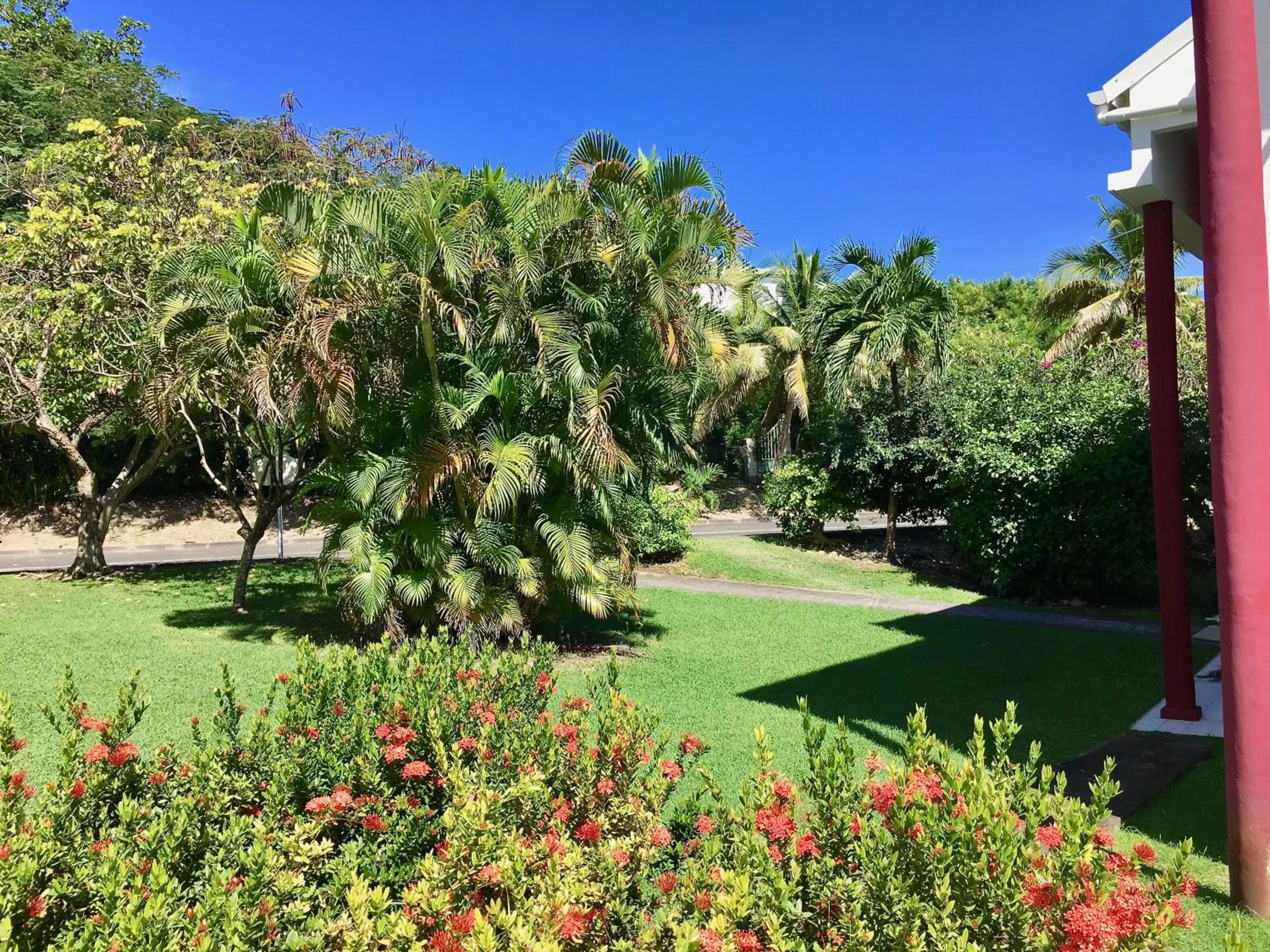 Natural landscape in Résidence Le Vallon Guadeloupe Parc Piscine Appartements & Studios