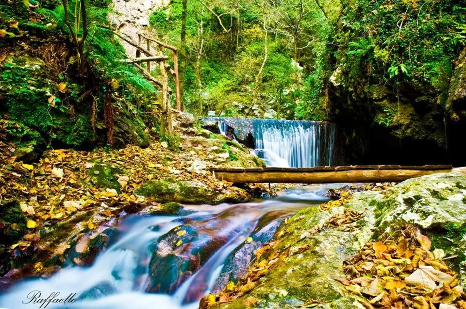 Nearby landmark in B&B Oliva