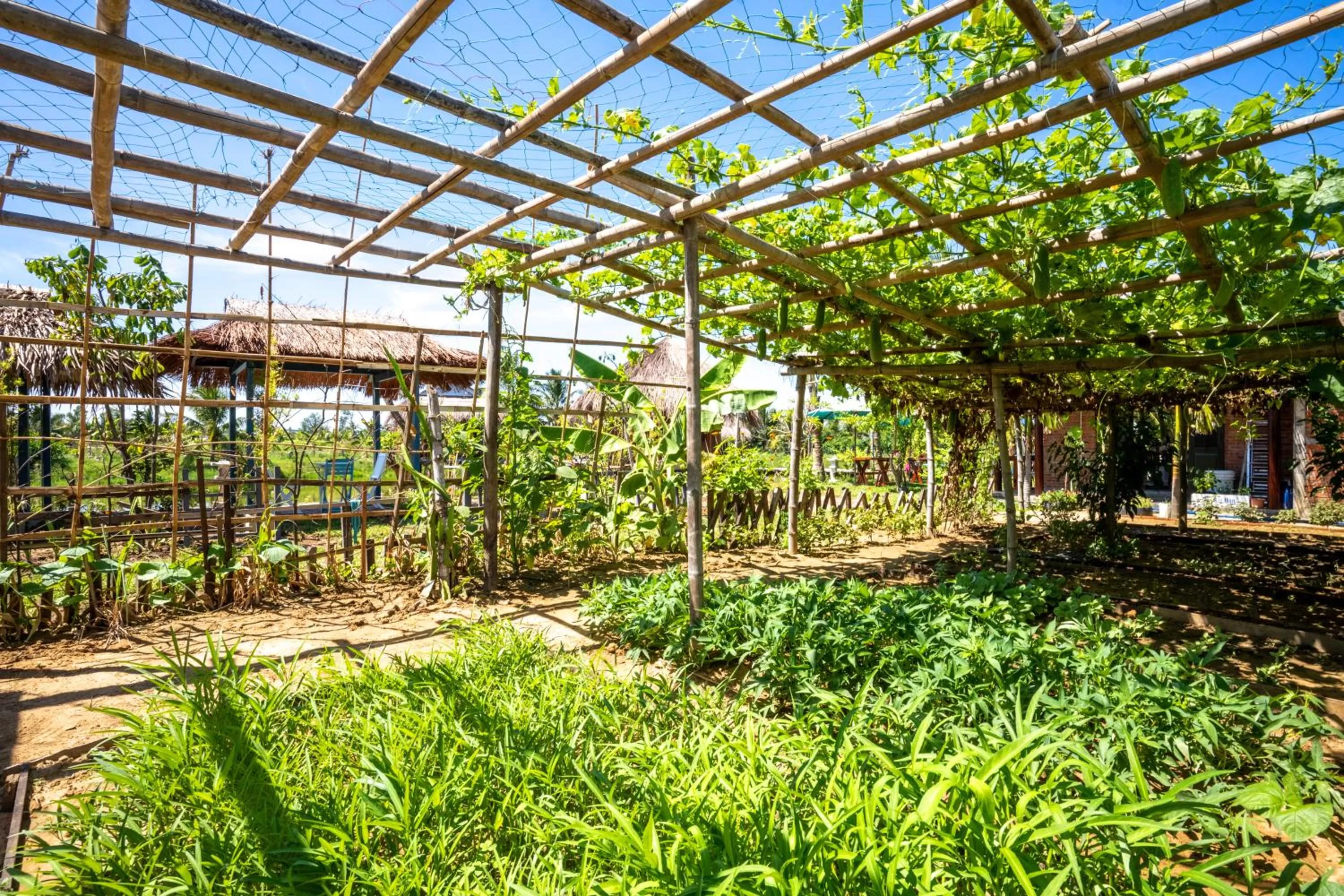 Garden in ZEN RETREAT HOI AN