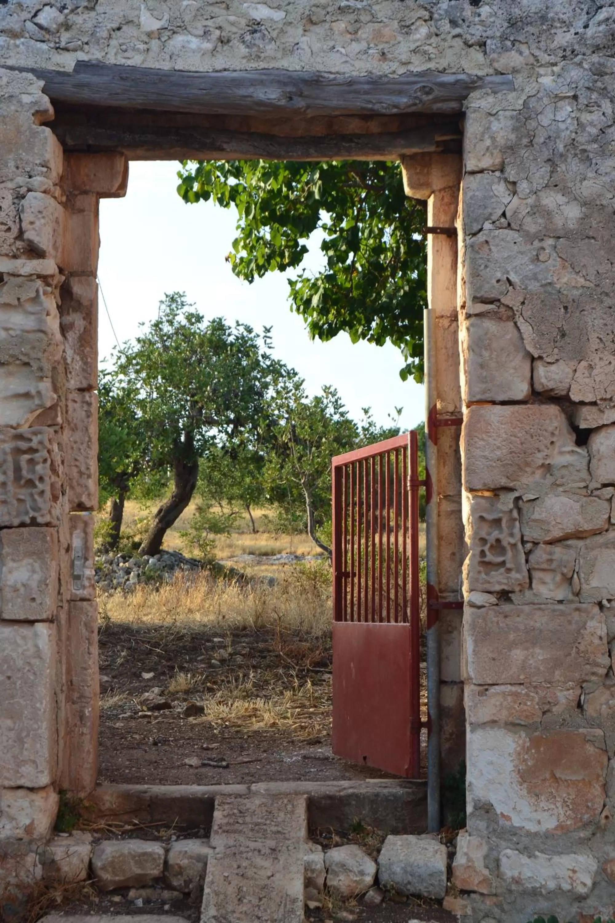 Property building in Vinciucci