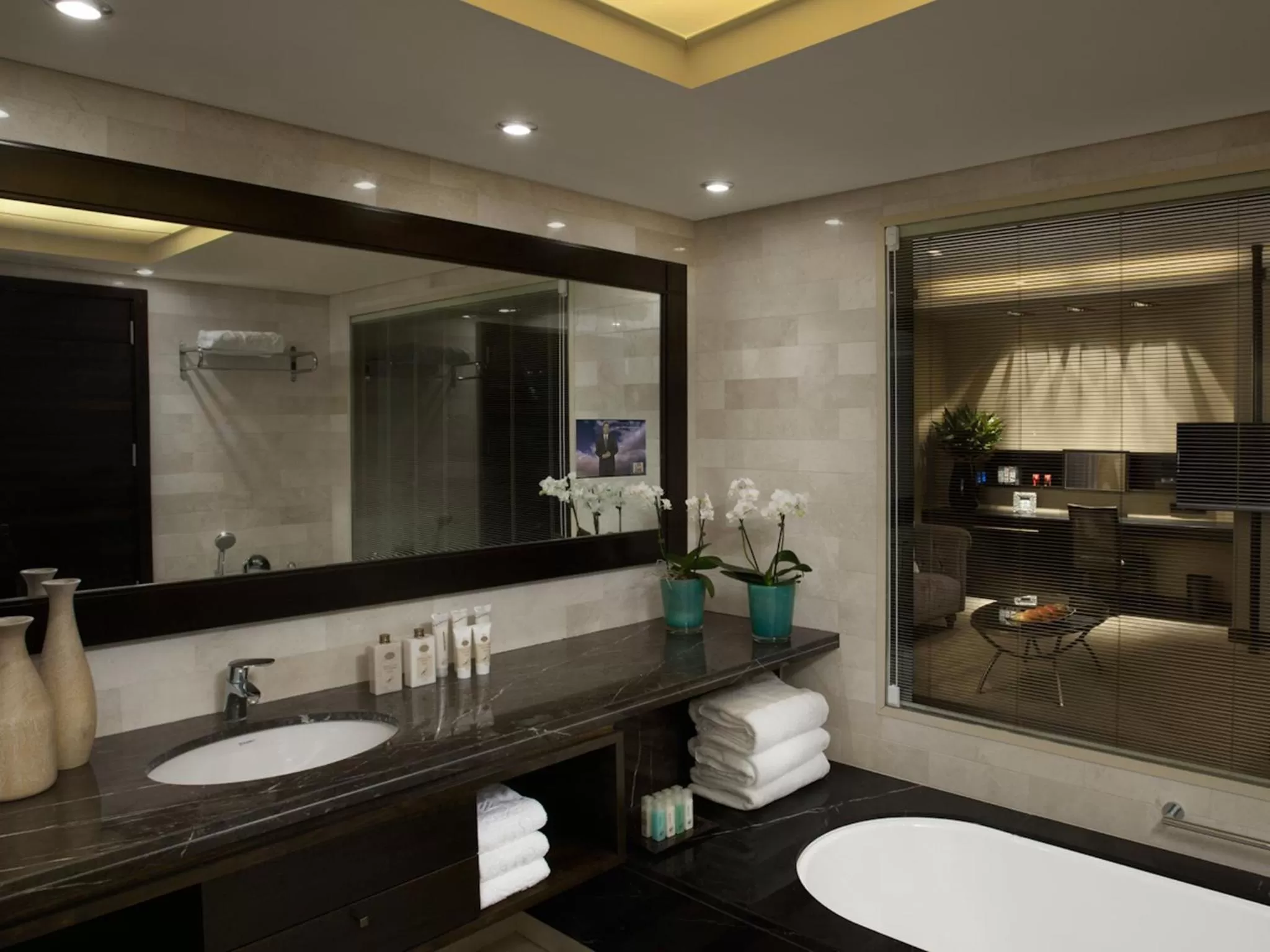 Bathroom in Dan Carmel Haifa