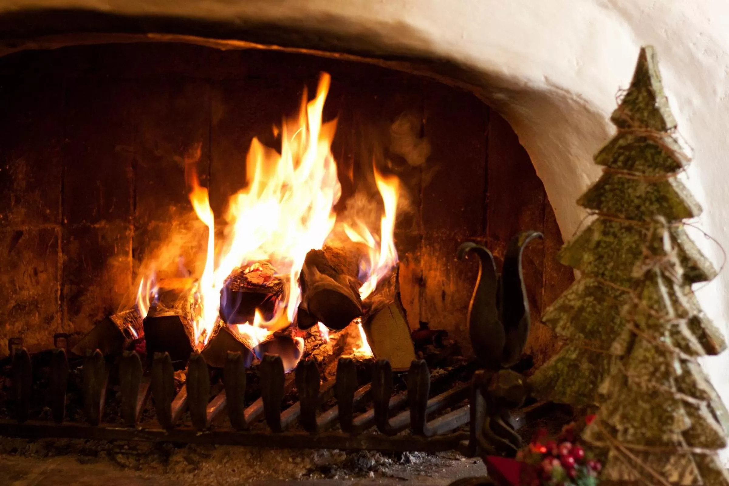 Other in Alpenhotel Tirolerhof