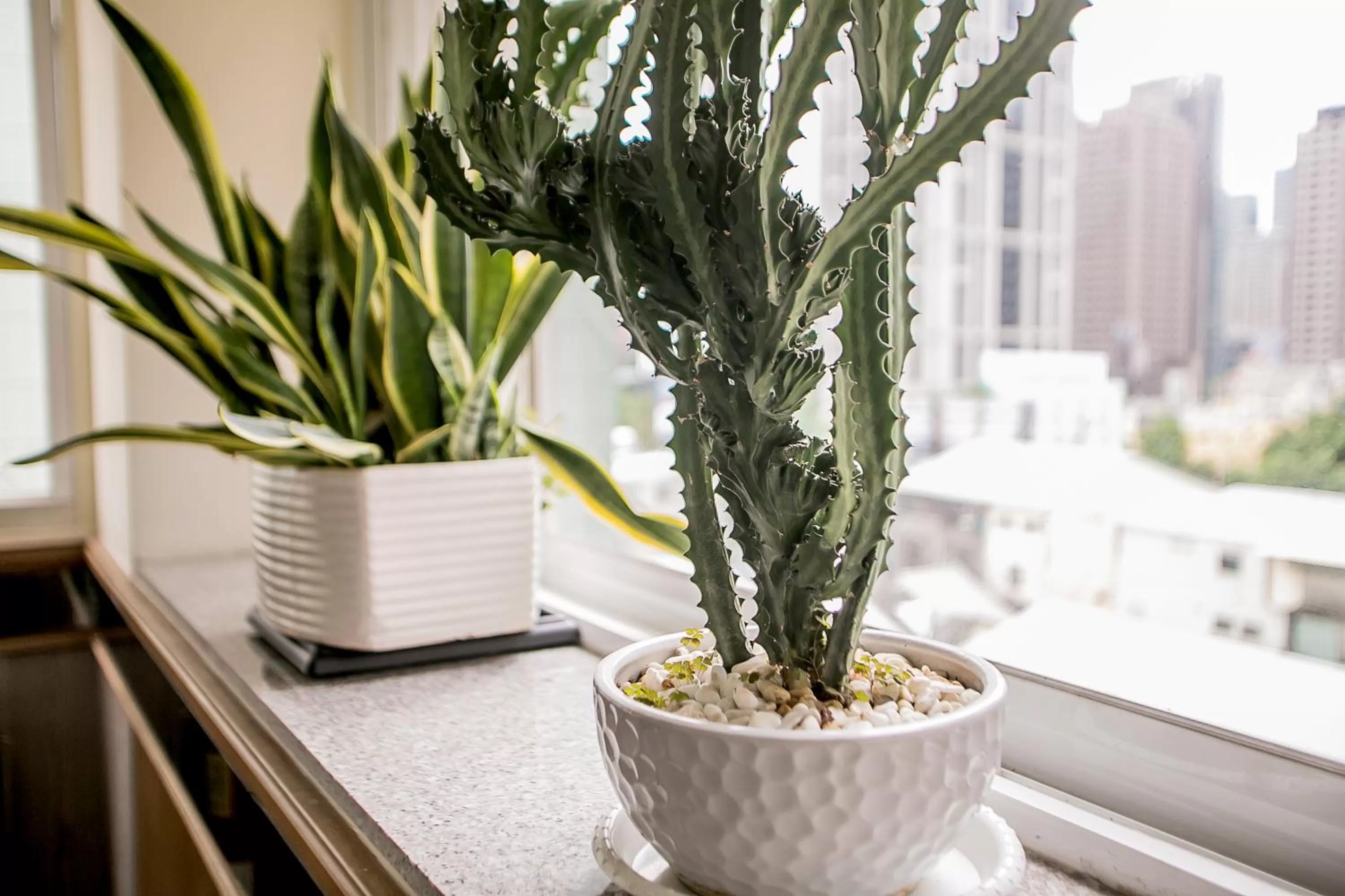 Decorative detail in Huang Shin Business Hotel-Chung Kang